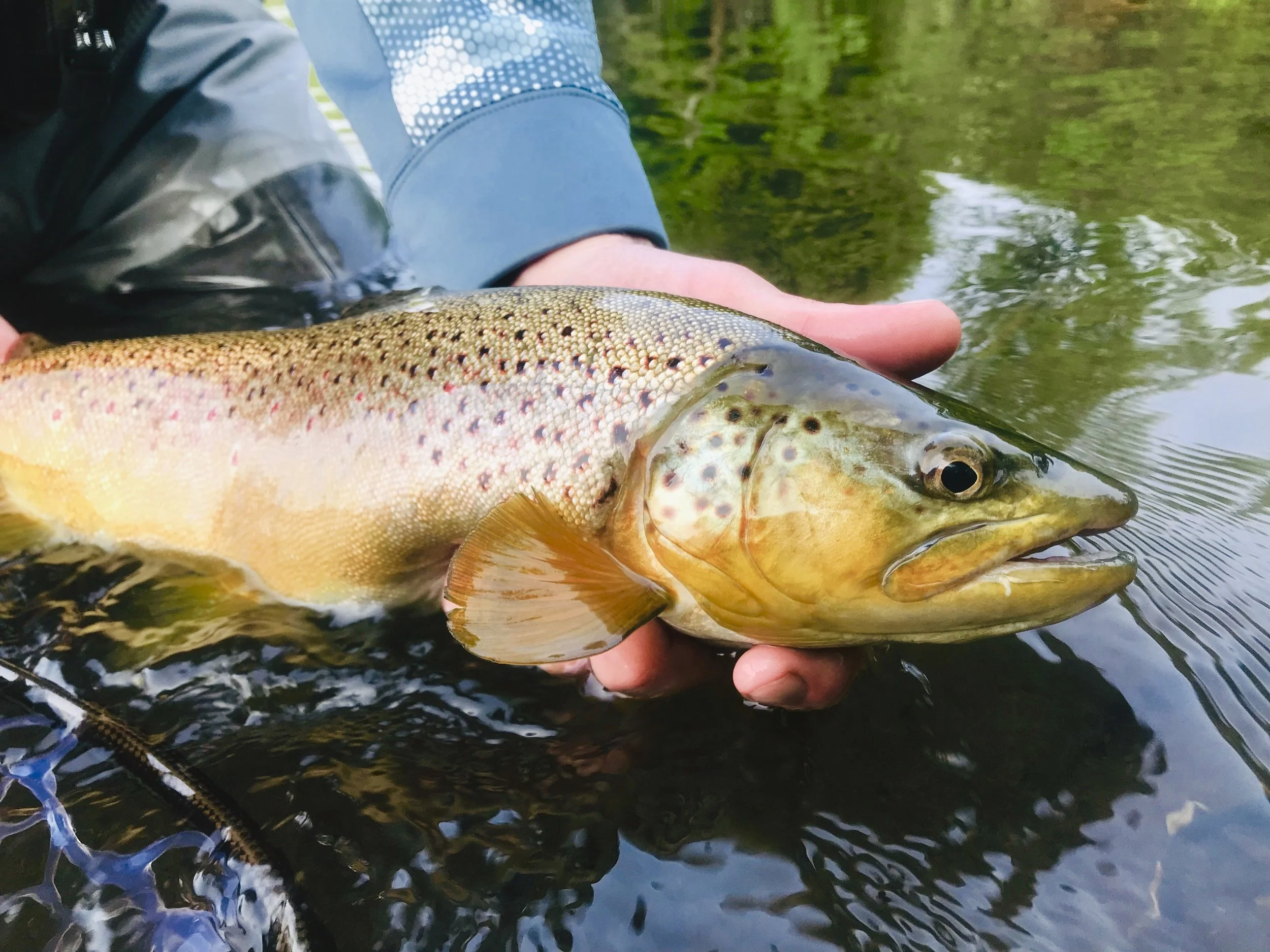 IMG_3431 (Edited).jpg