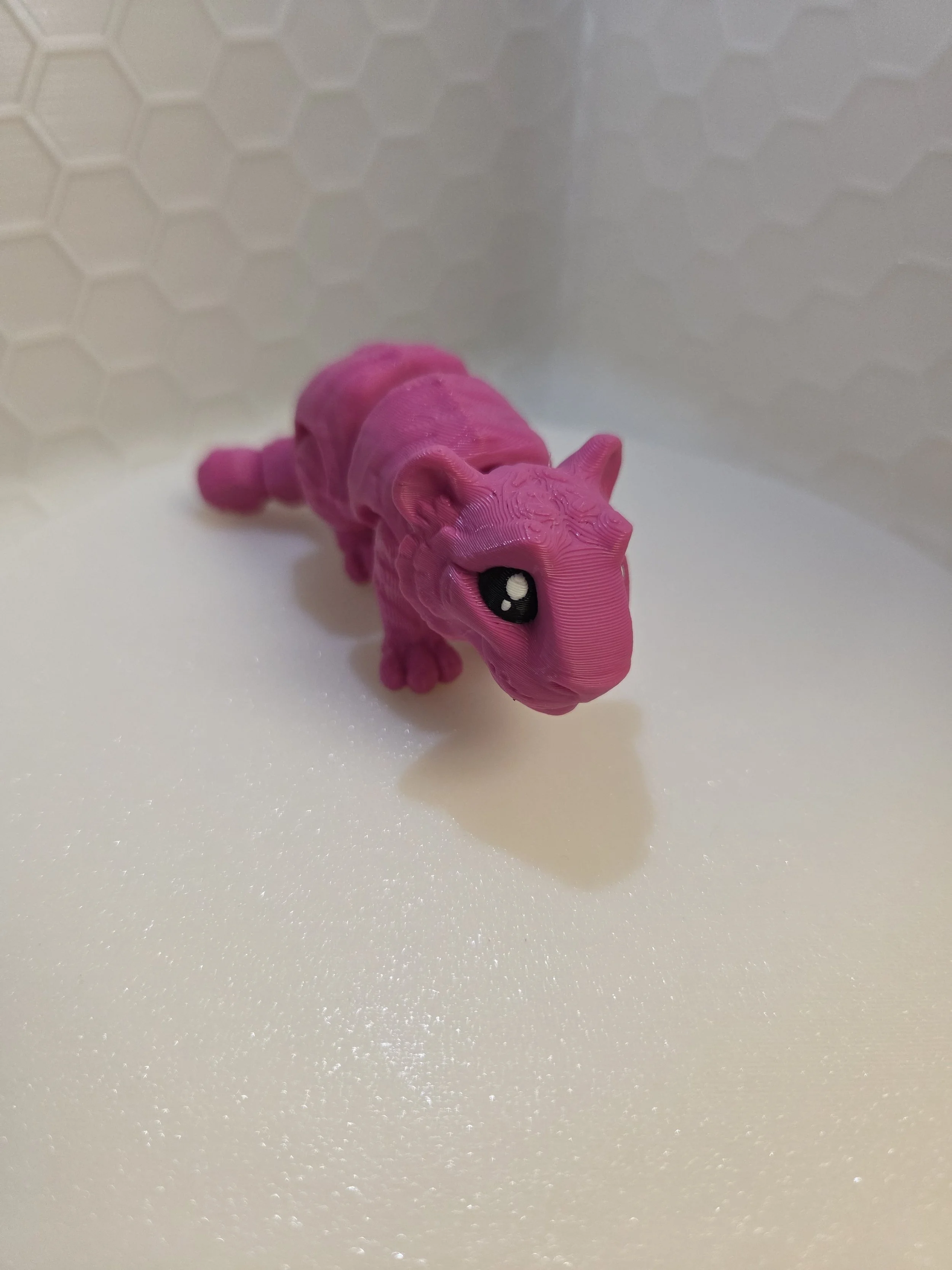 20260312_180714.jpg
