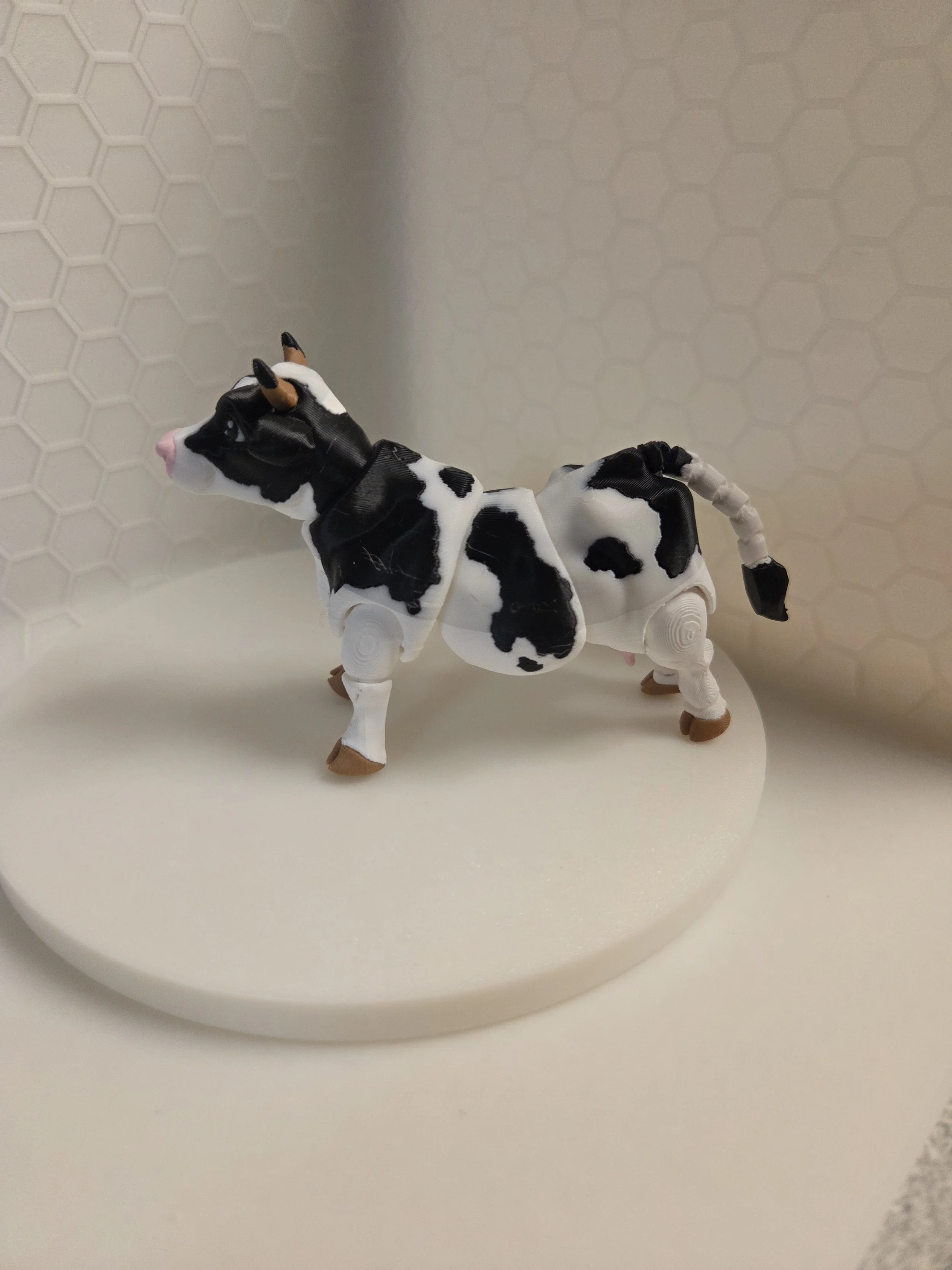 Dairy Cow