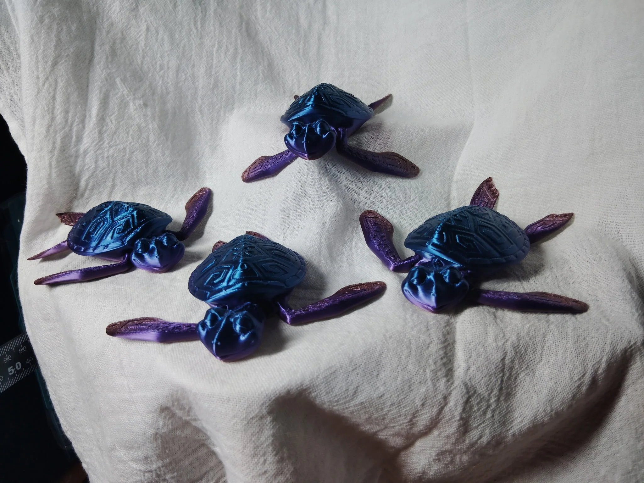 Turtle (Medium)