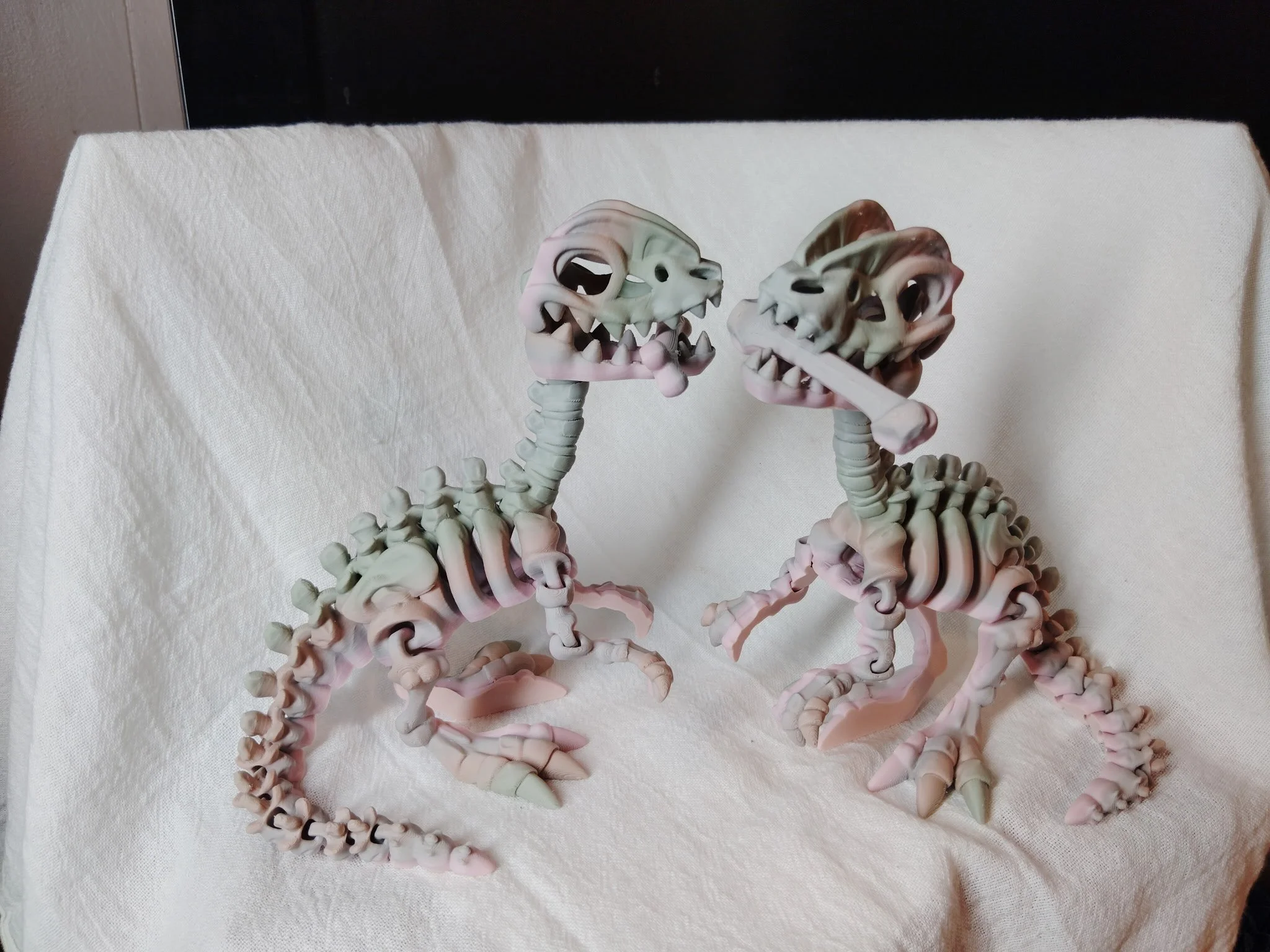 Dilophosaurus Skeleton