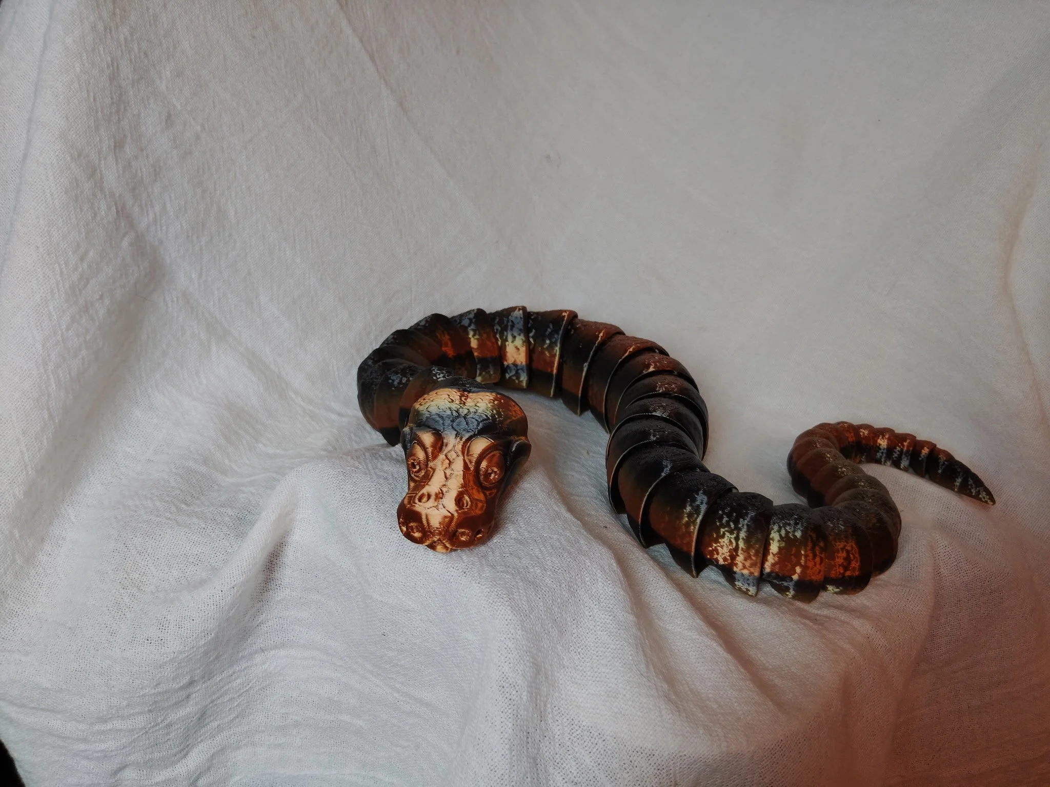 Ball Python (Extra Large)