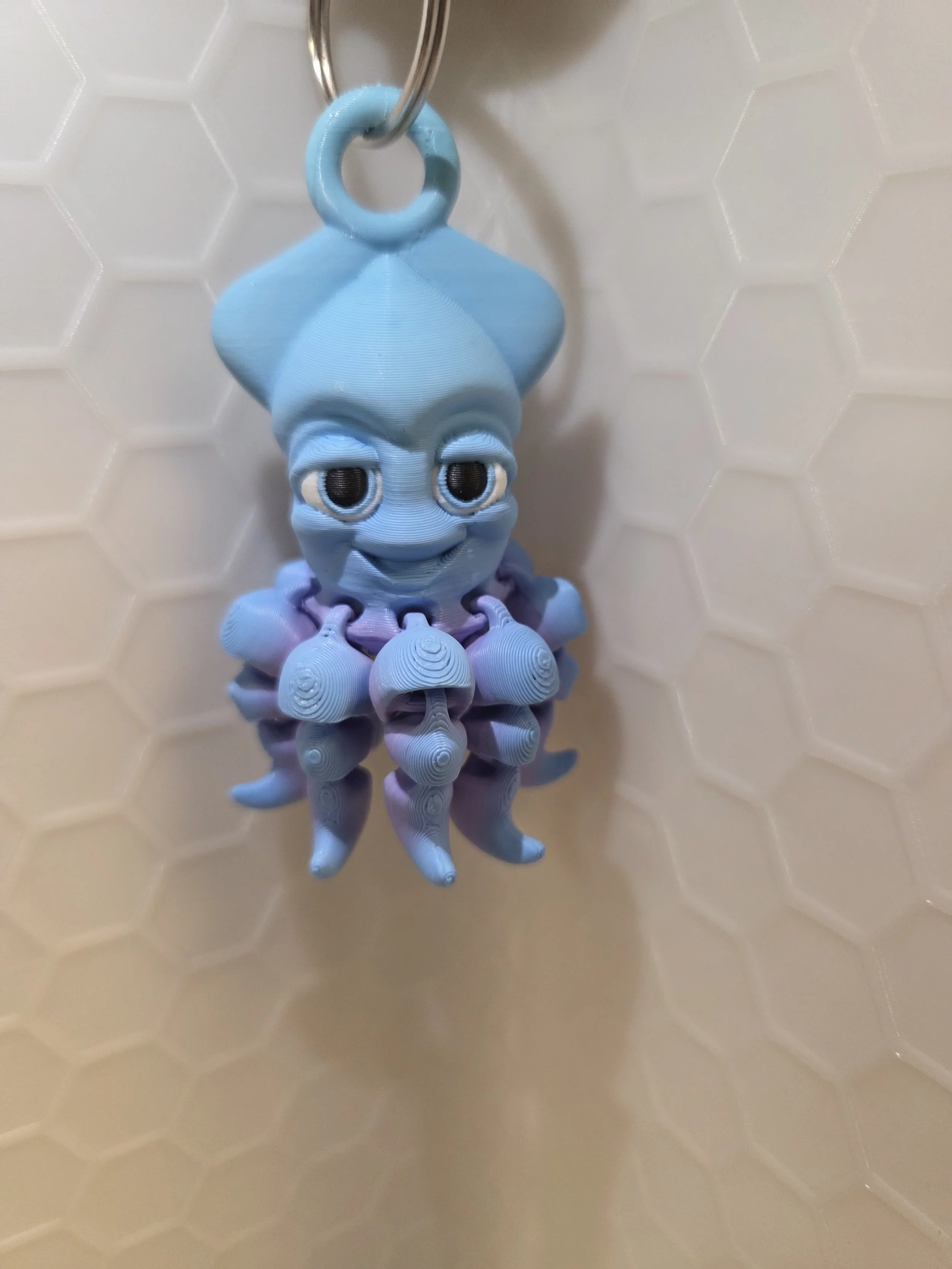 Squid