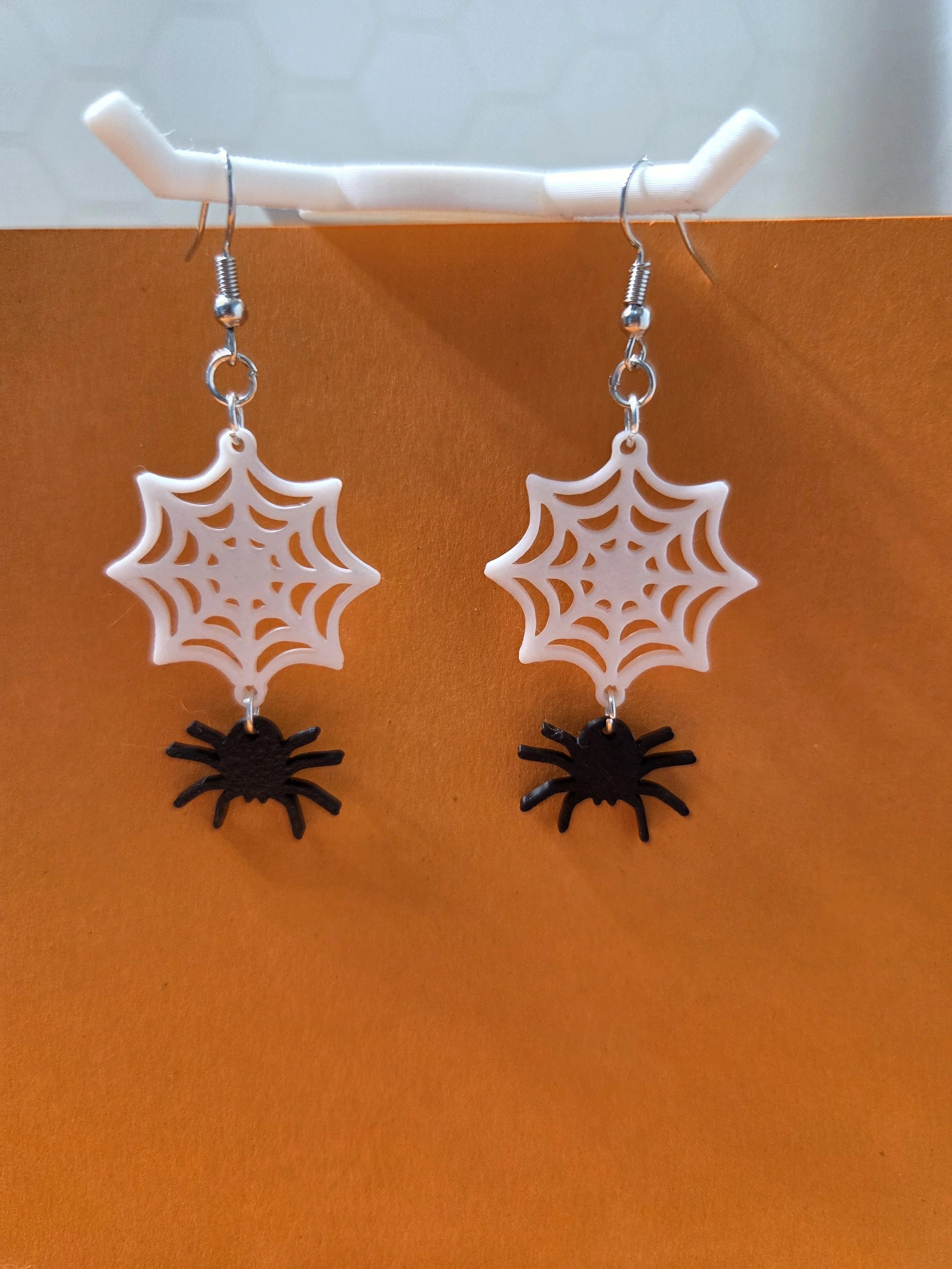 Spiderweb with Spider