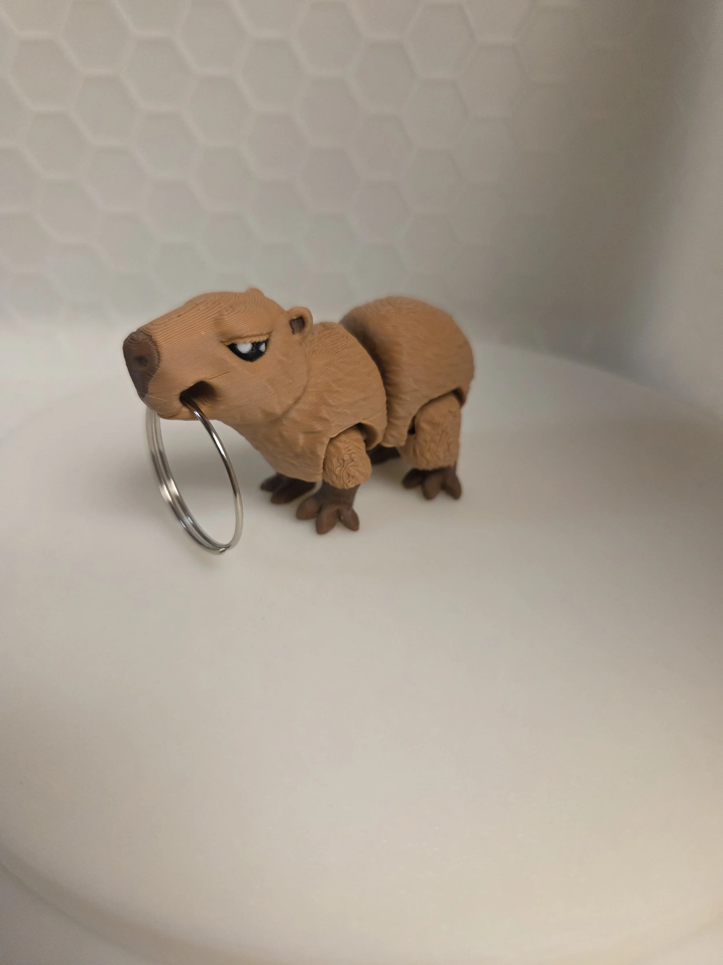 Capybara