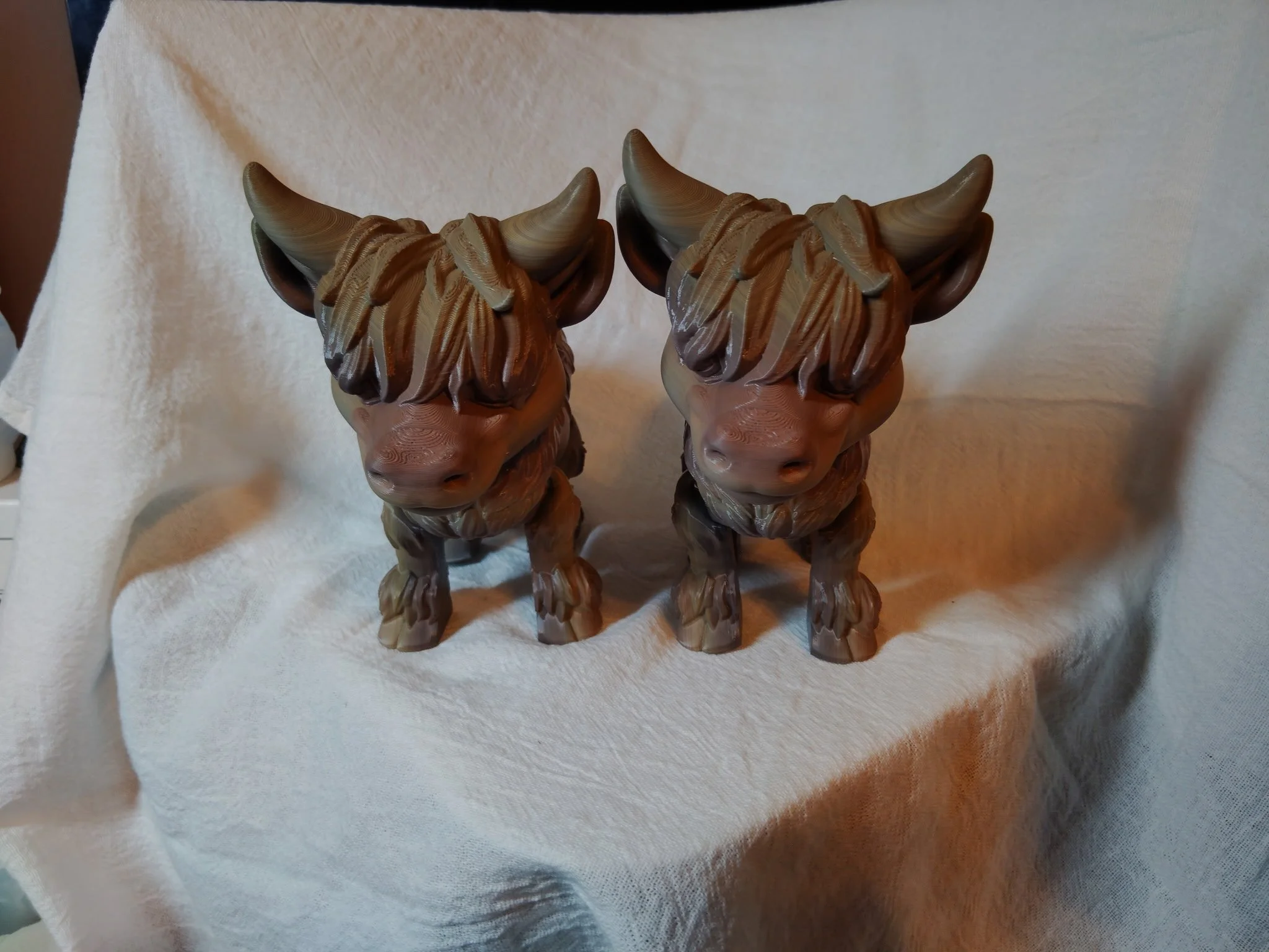 Highland Cow (Male)