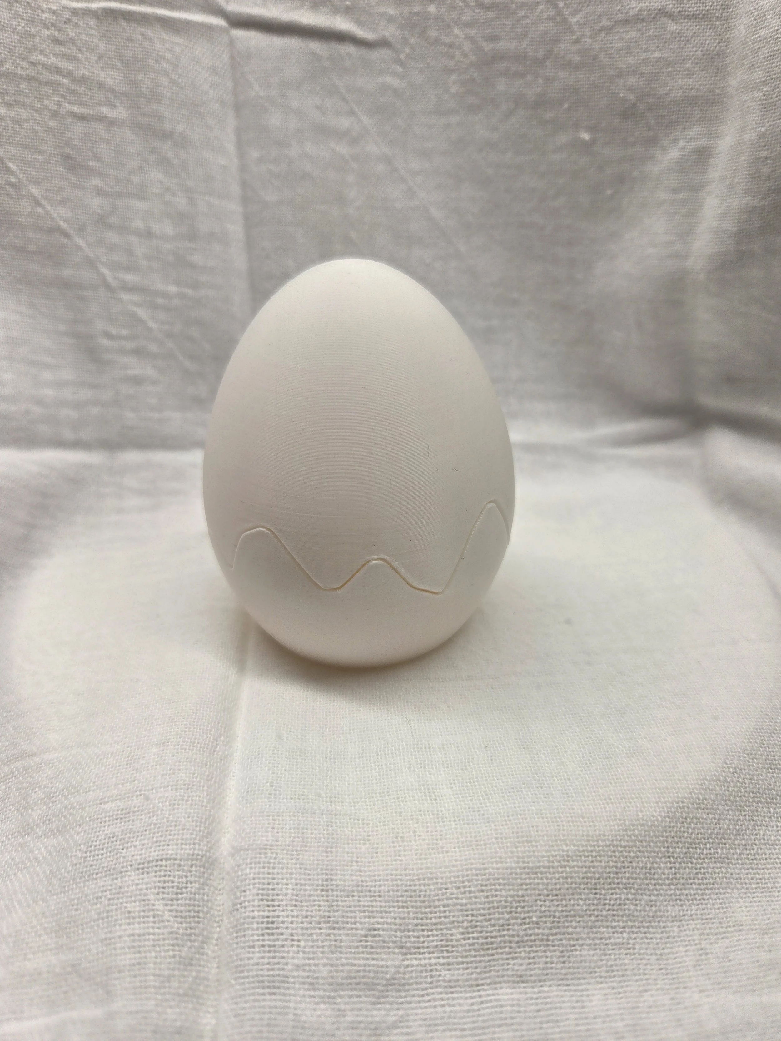 Hatching Chicken with Egg