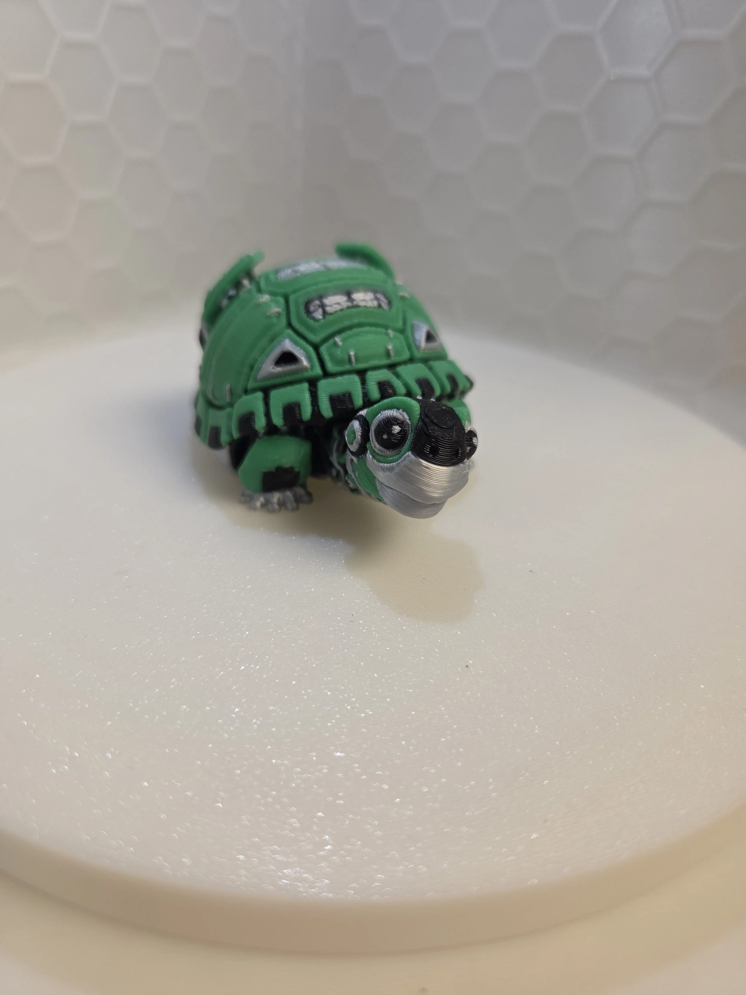 Robot Turtle