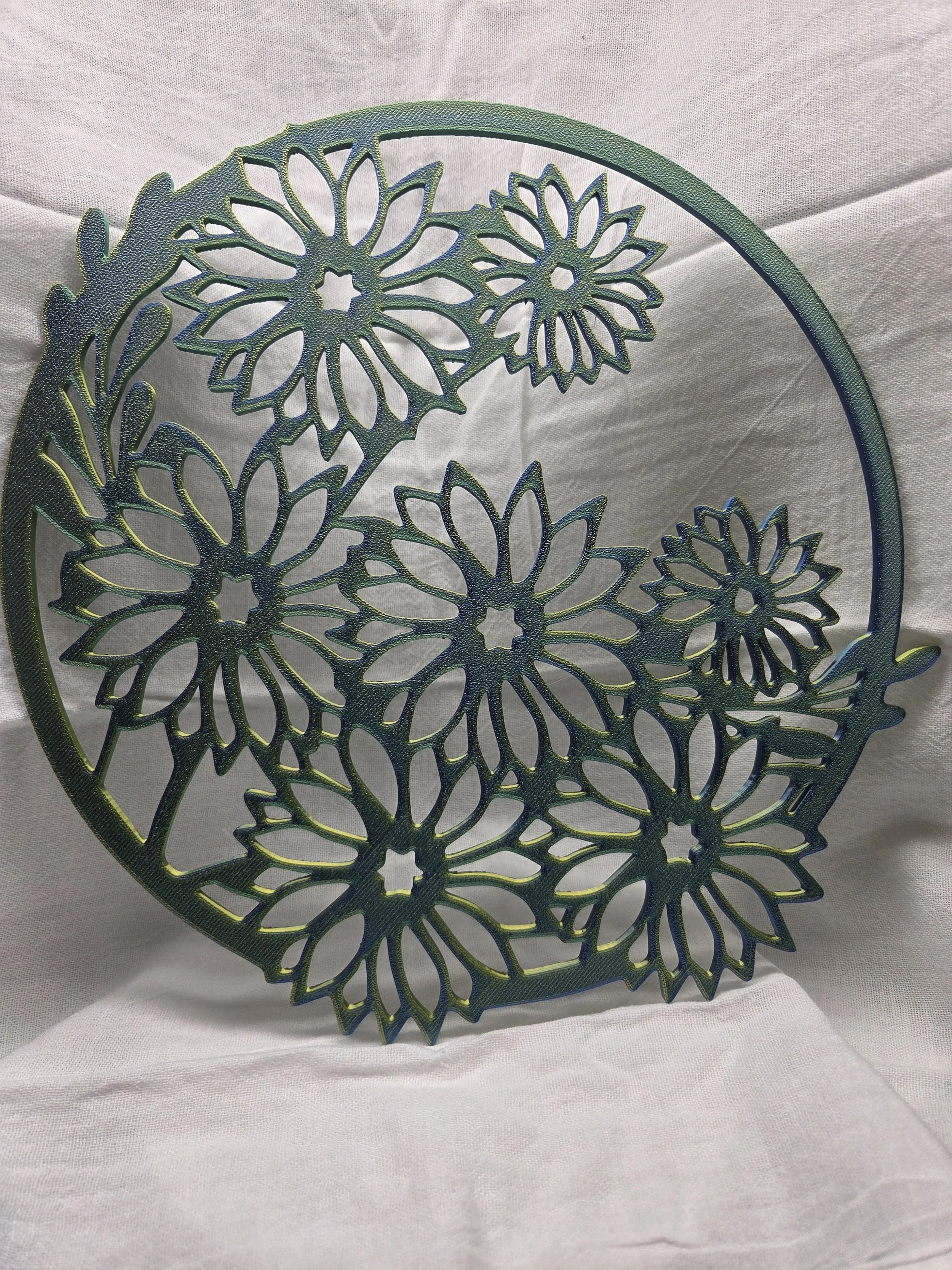 Daisy Flowers