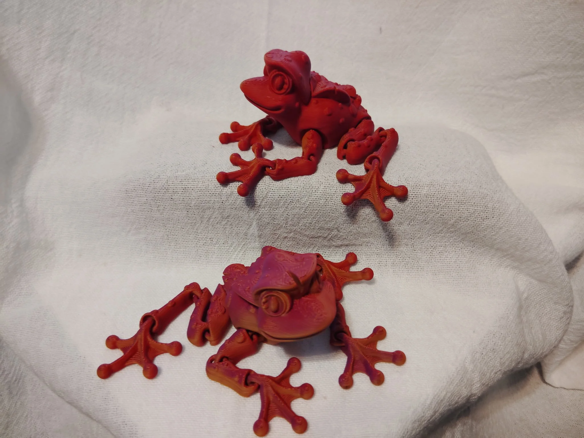 Fungus Frog
