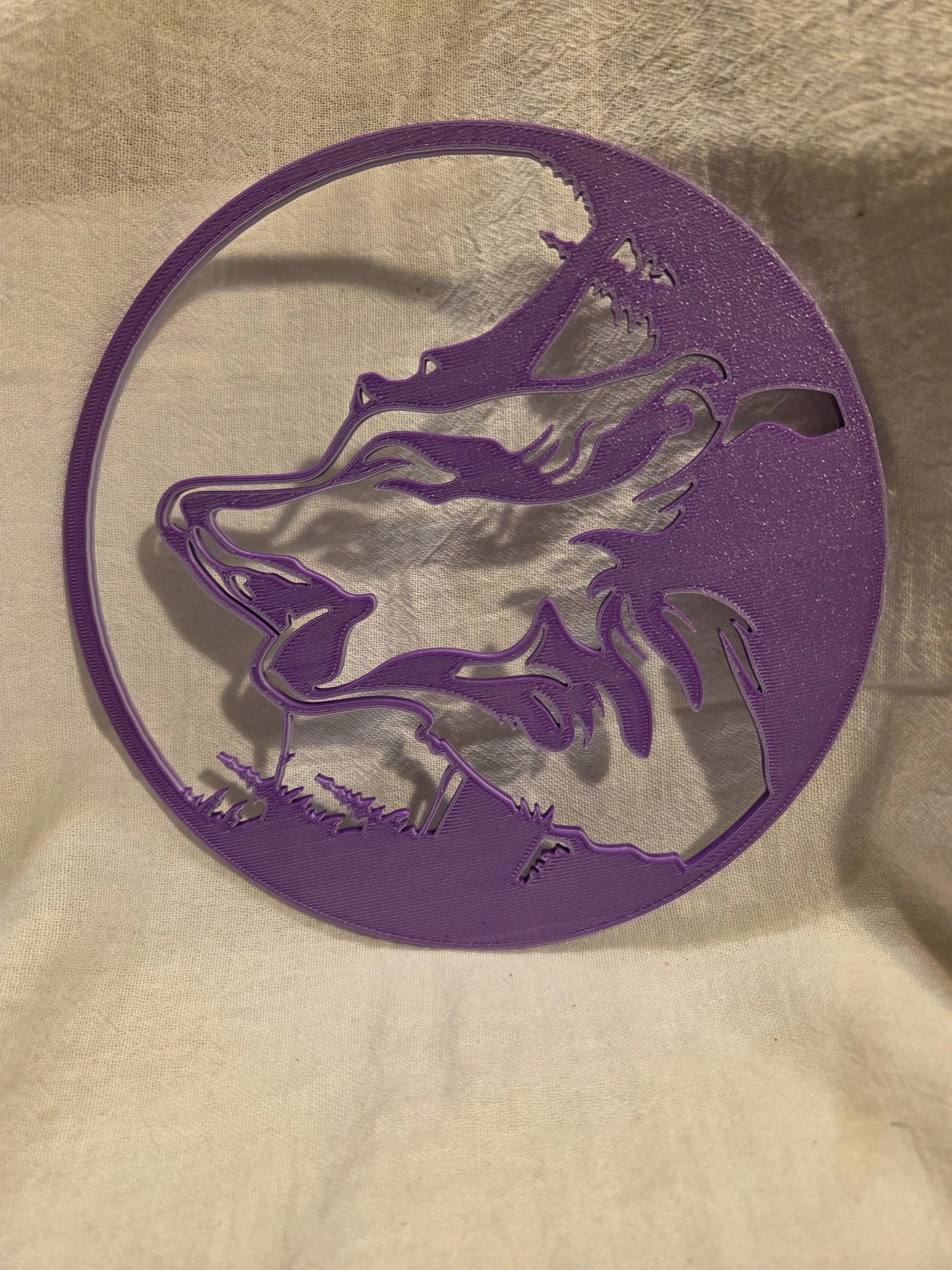 20260320_204401.jpg