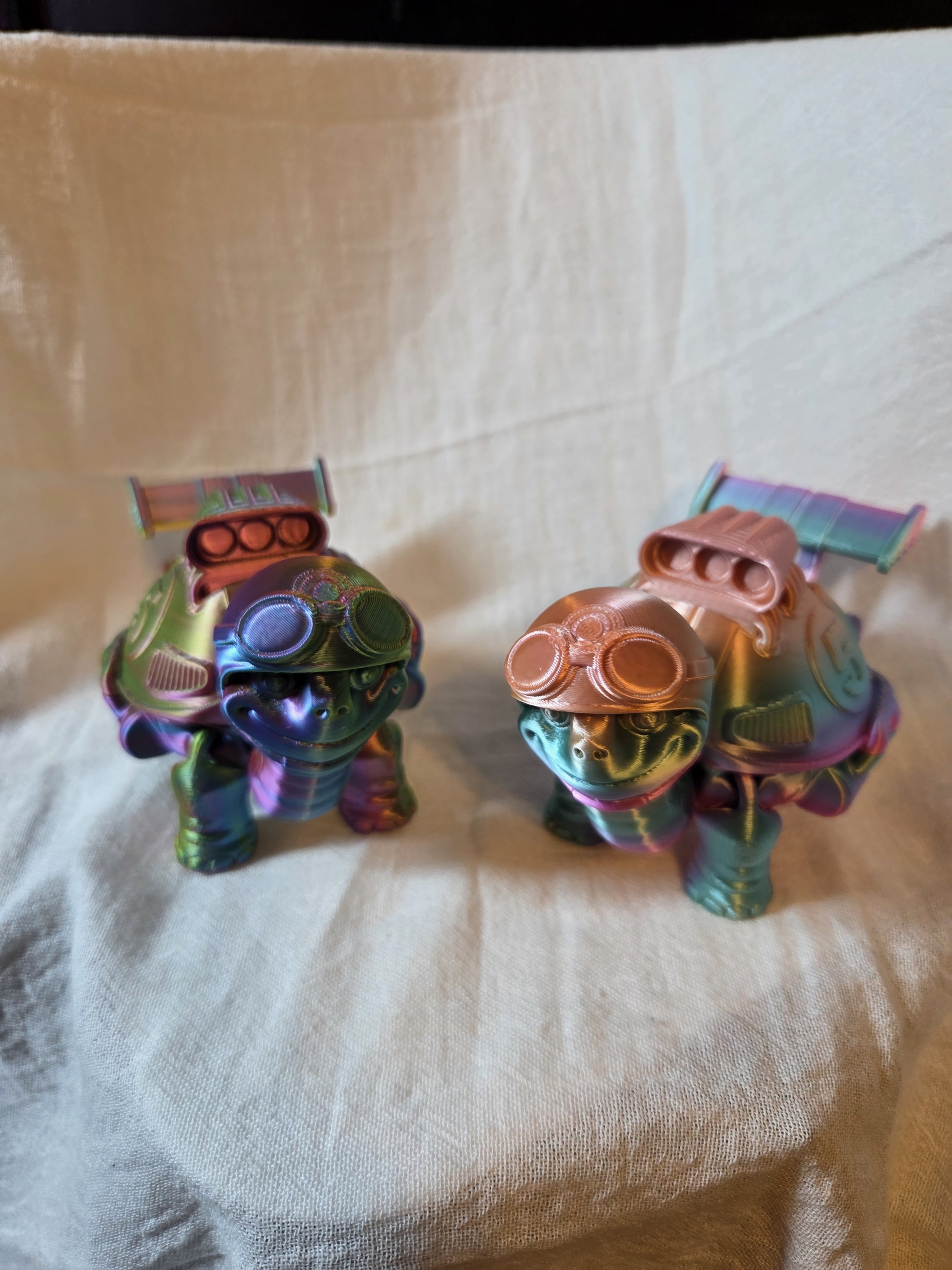 Racing Turtle