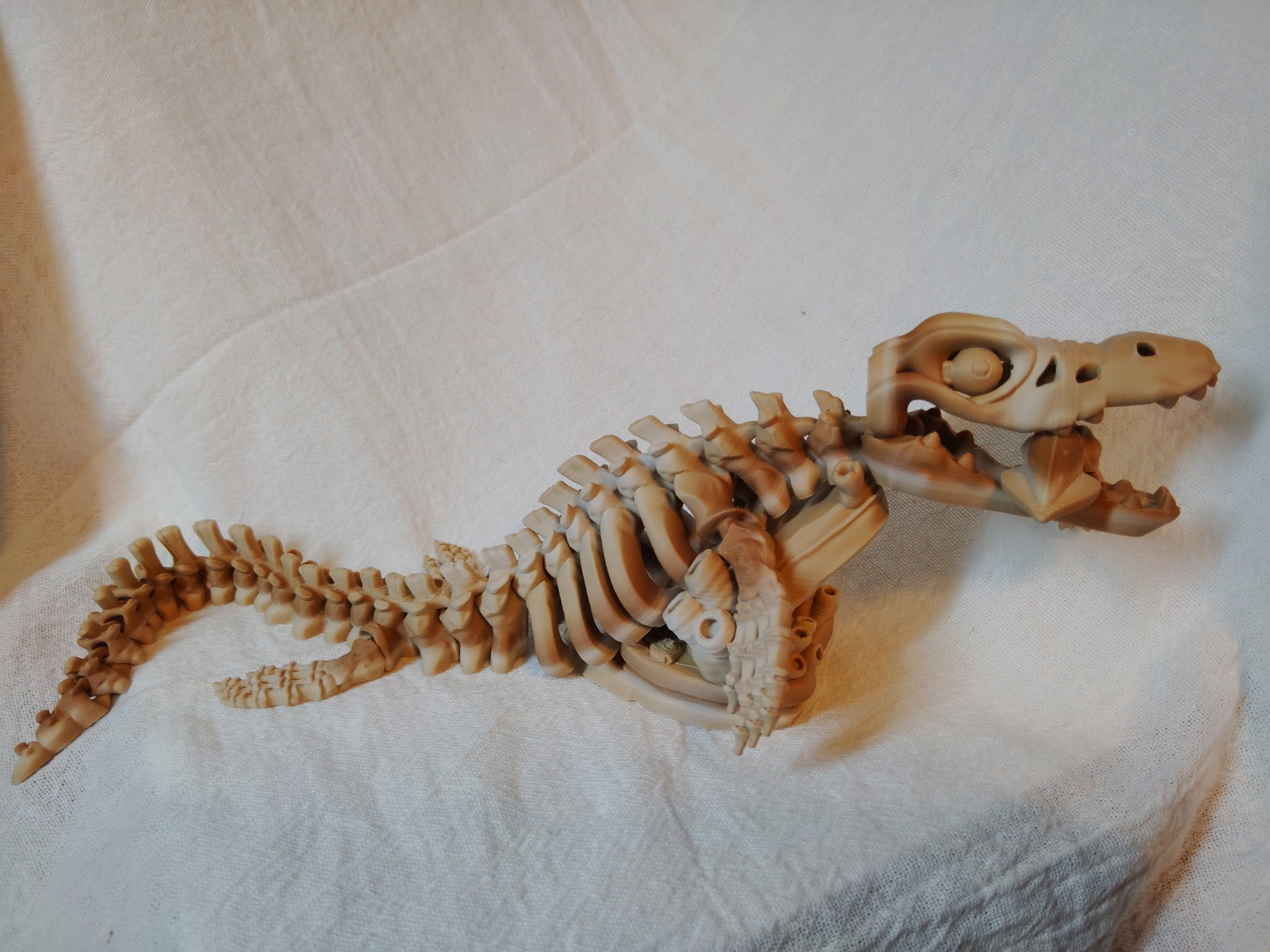 Mosasaurus
