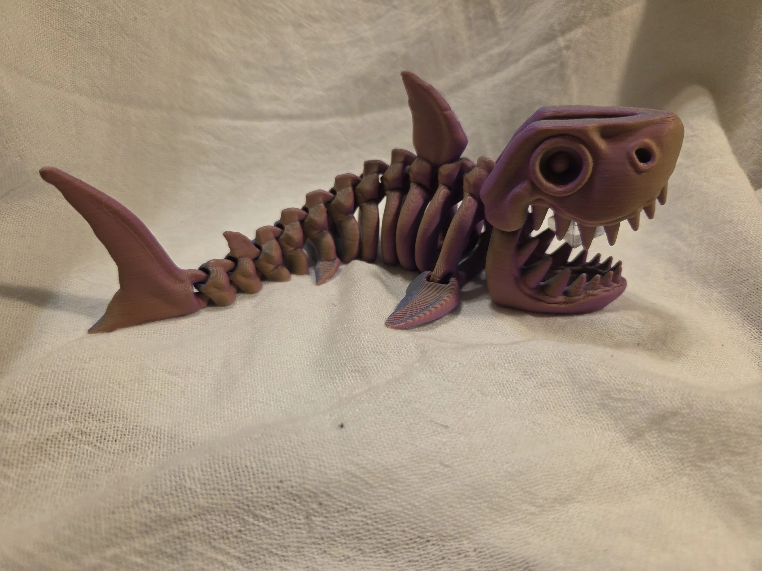 Shark (Skeleton)