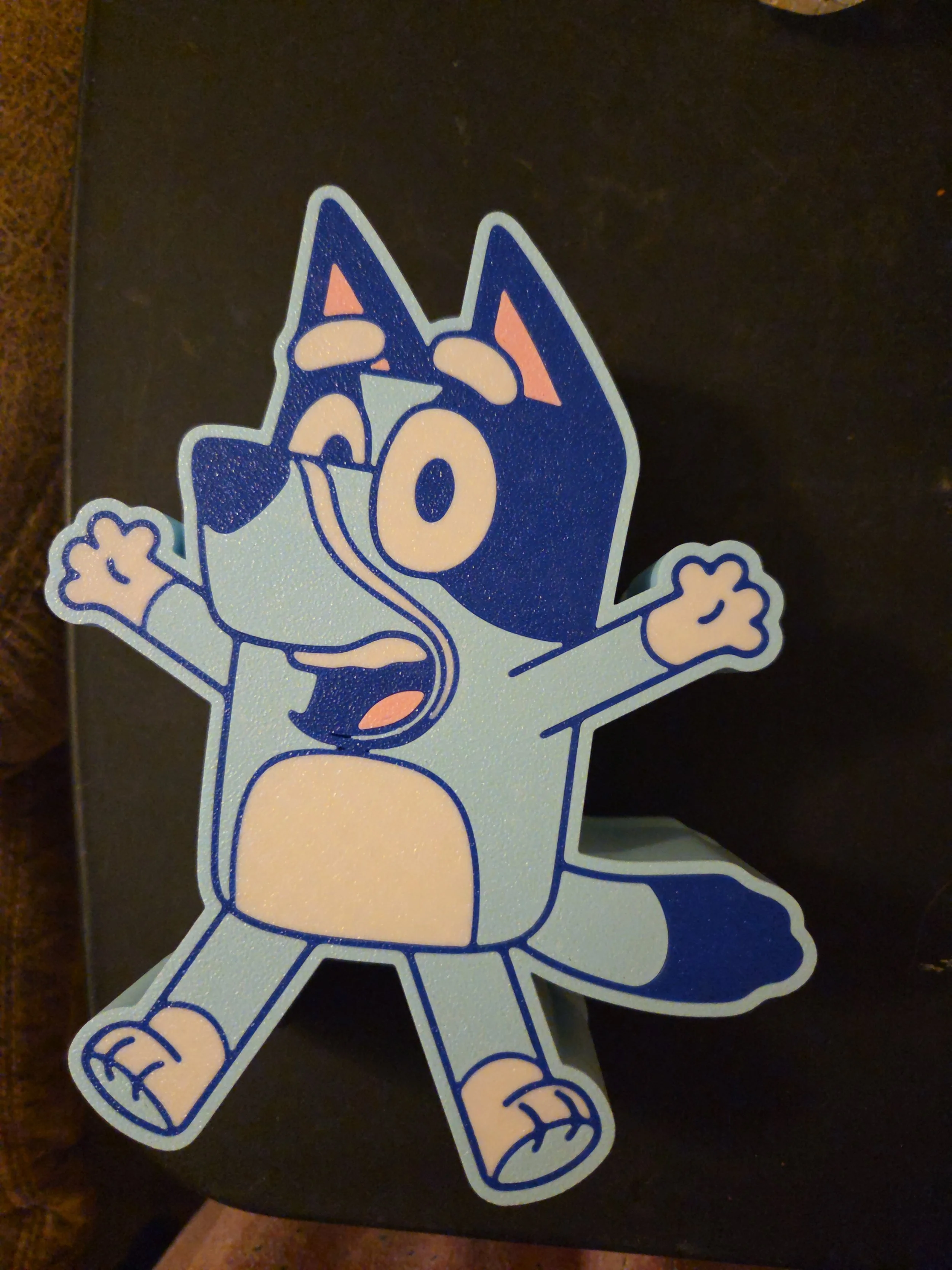 Bluey Storage Container