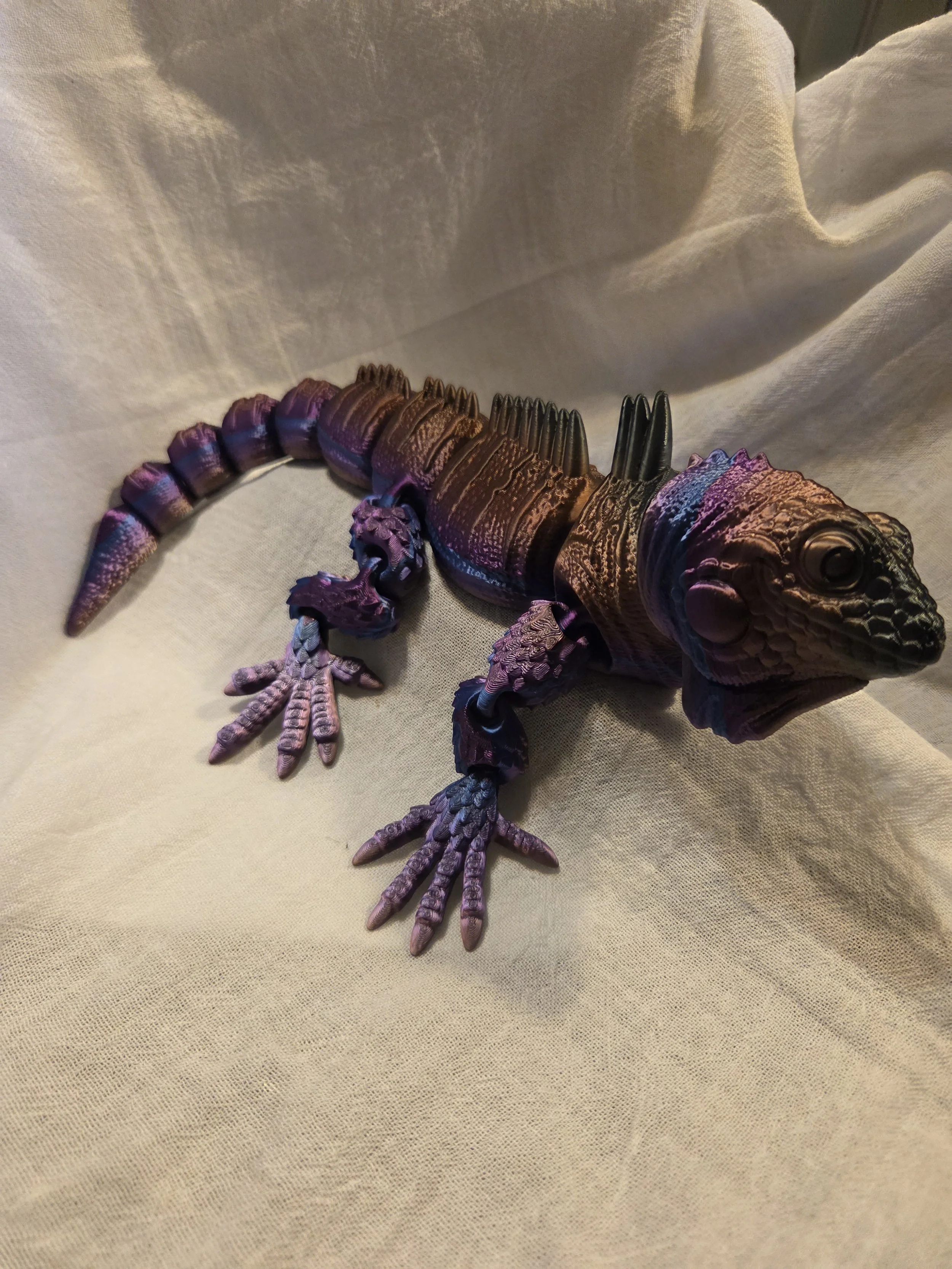 Iguana