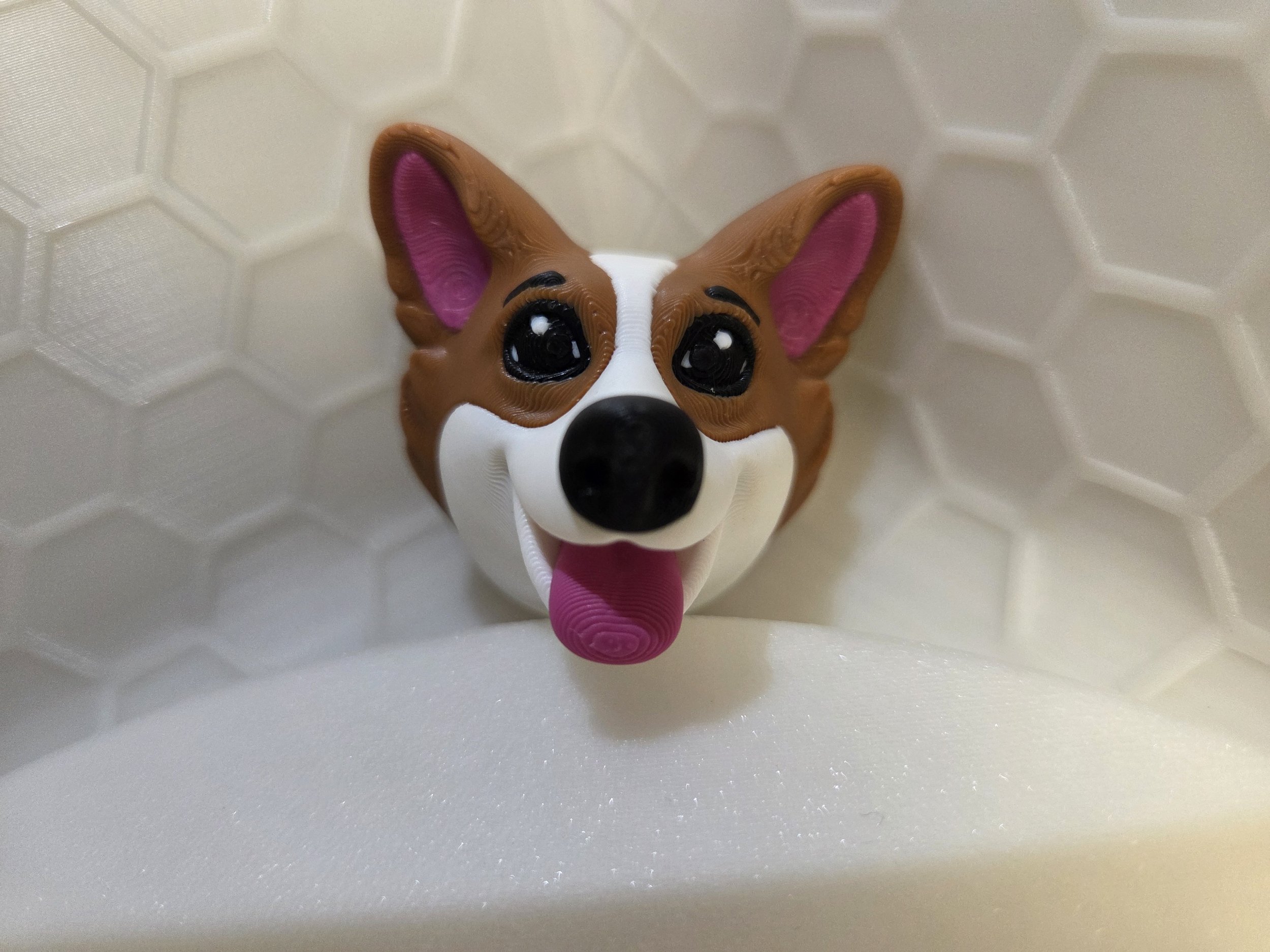 Corgi Head