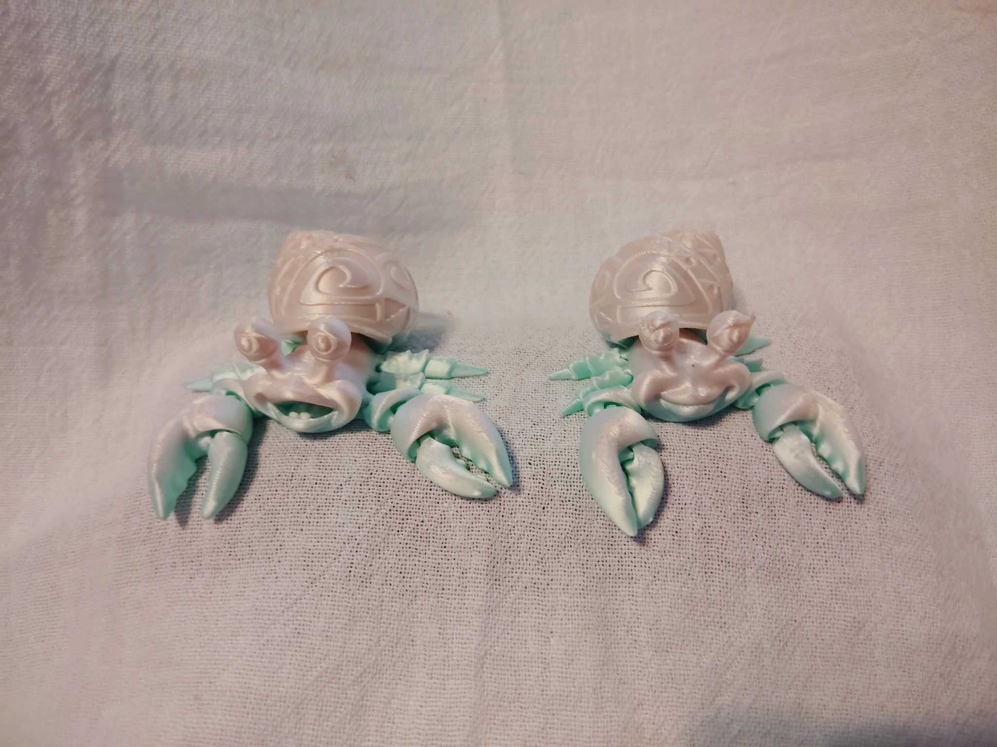 Hermit Crab