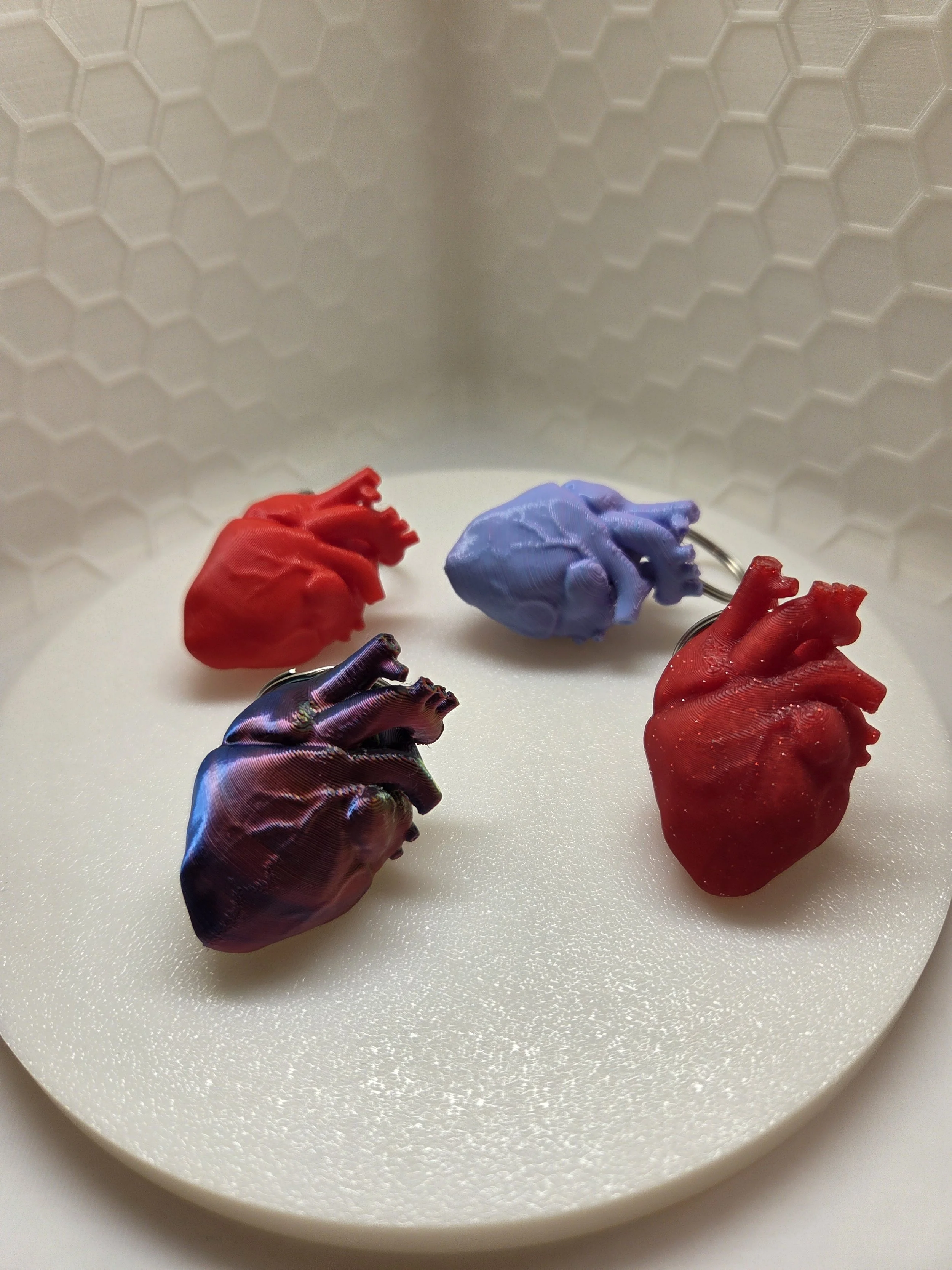 Anatomical Heart