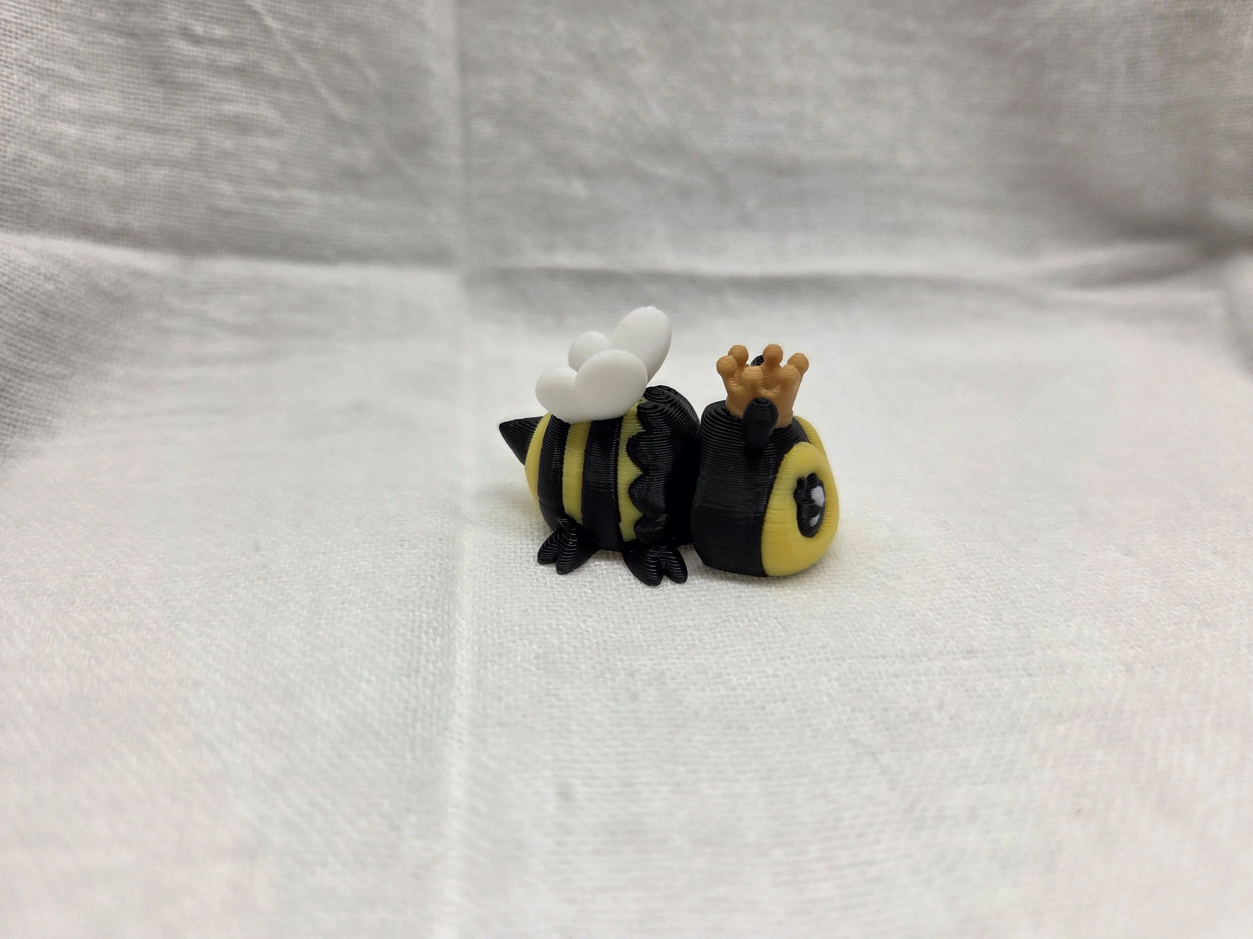 20260424_182637.jpg