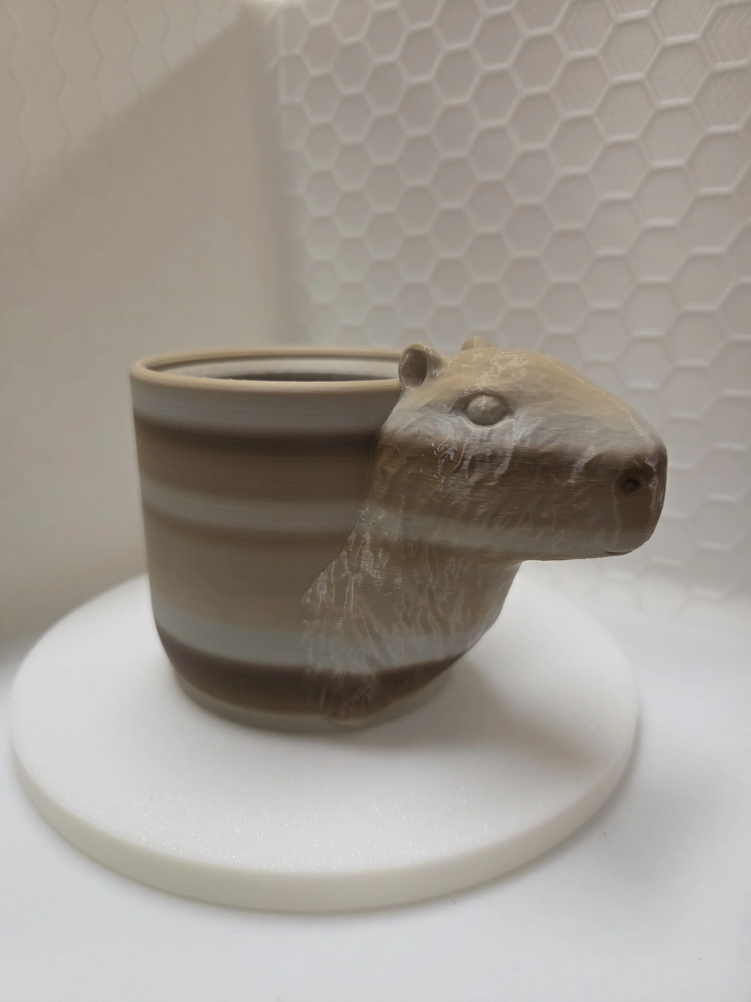 Capybara Cup