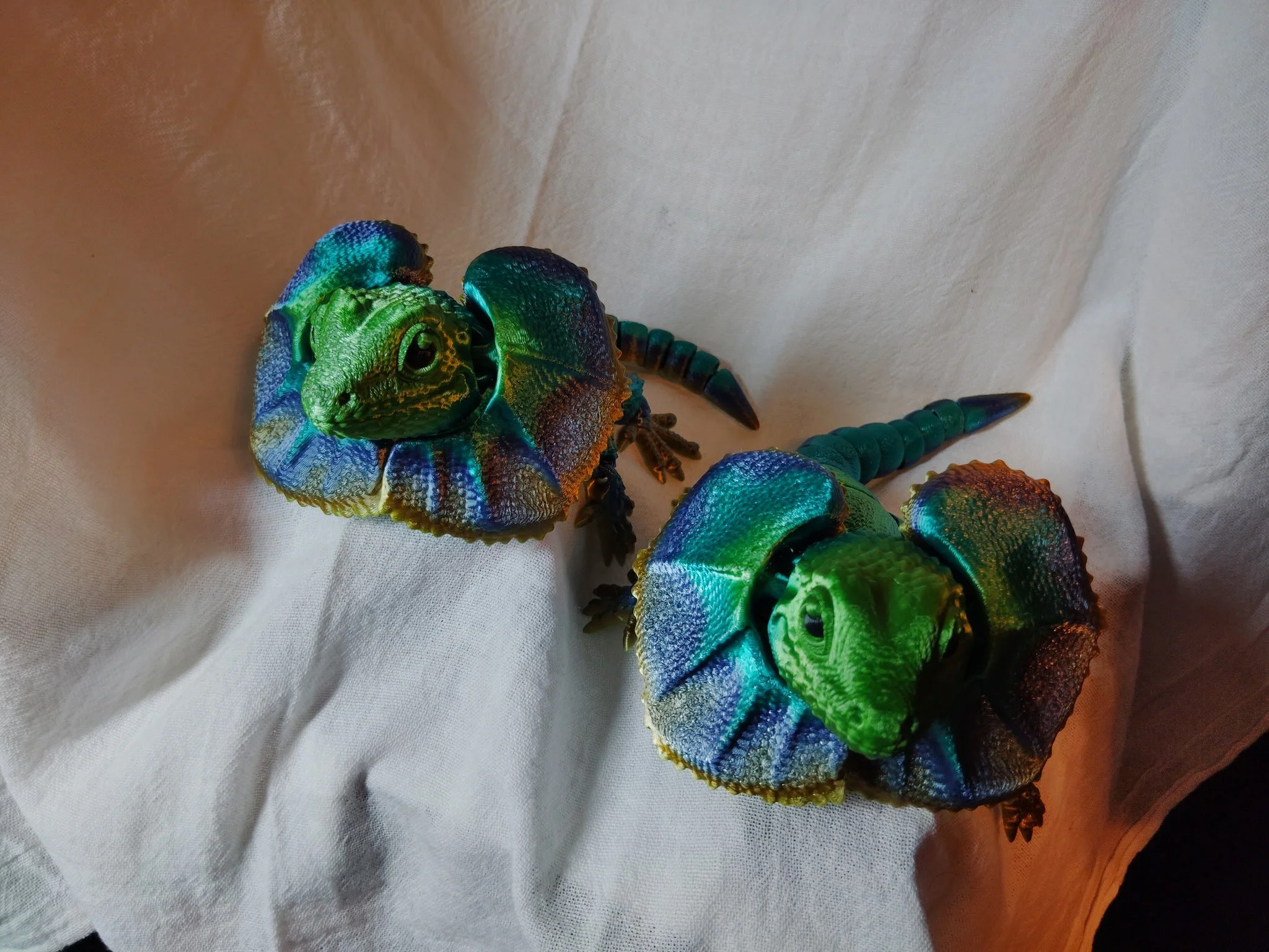 Frilled Lizard