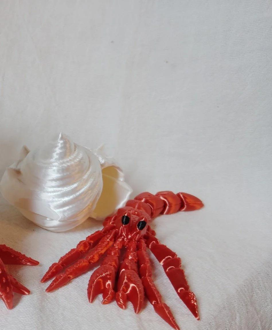 Hermit Crab with Shell ( Small)
