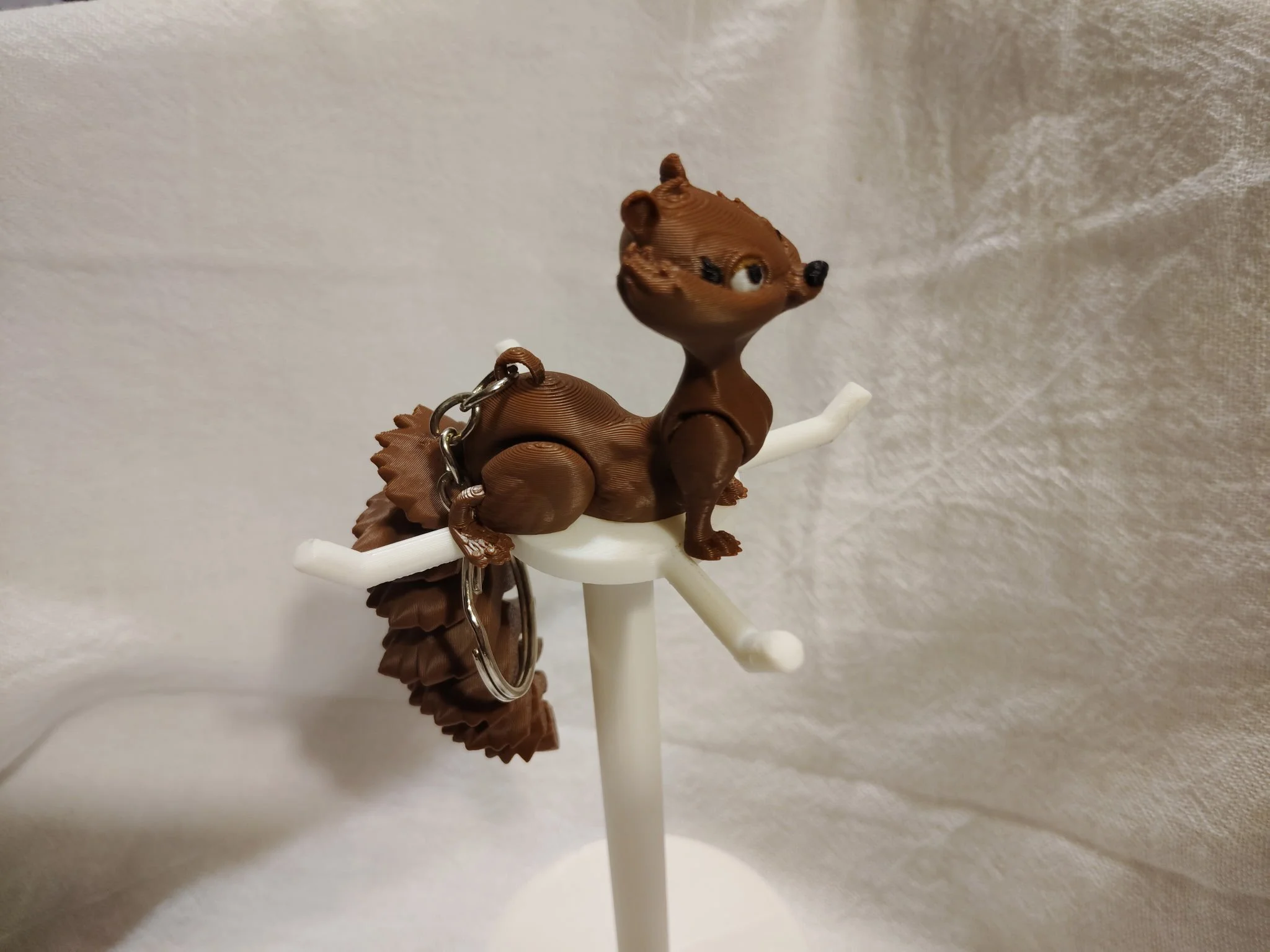 Squirrel
