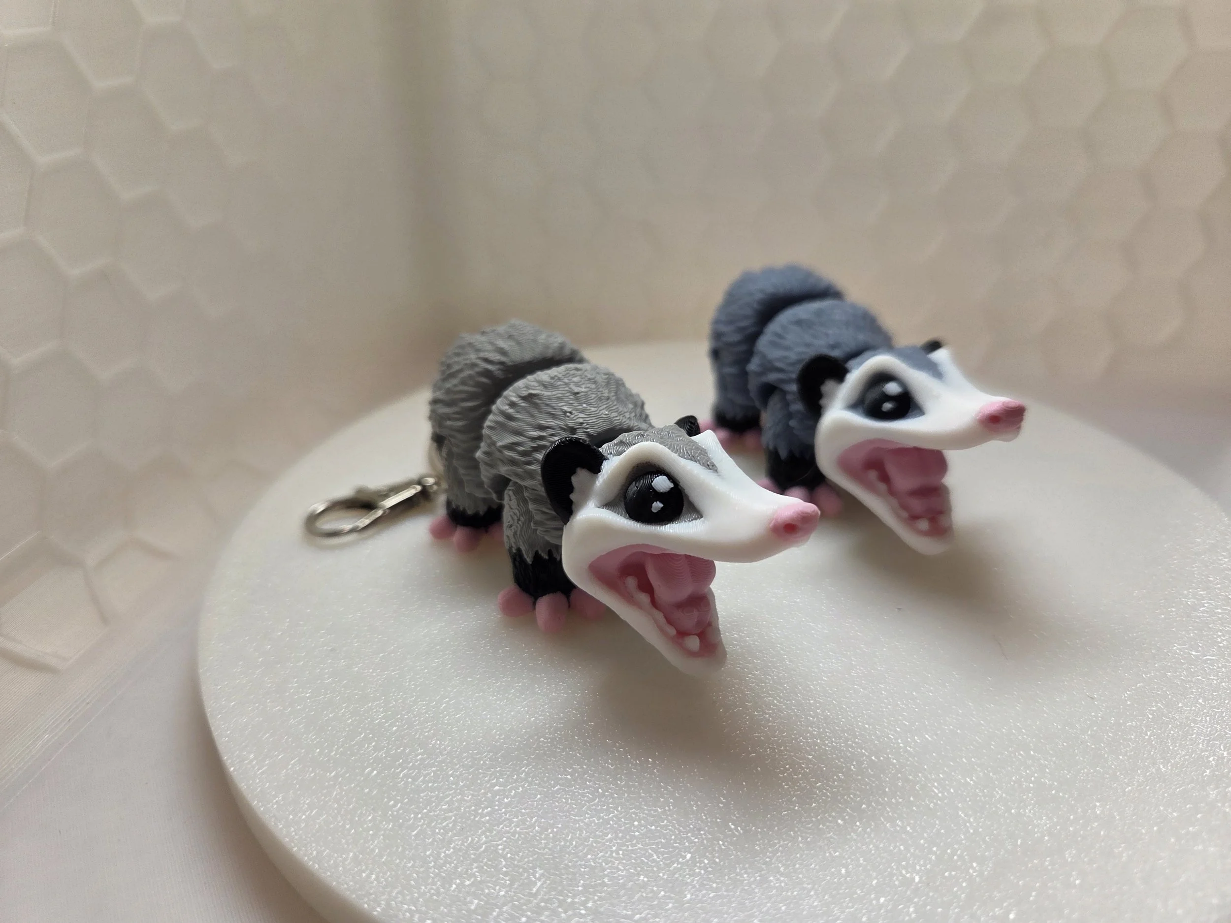 Opossum