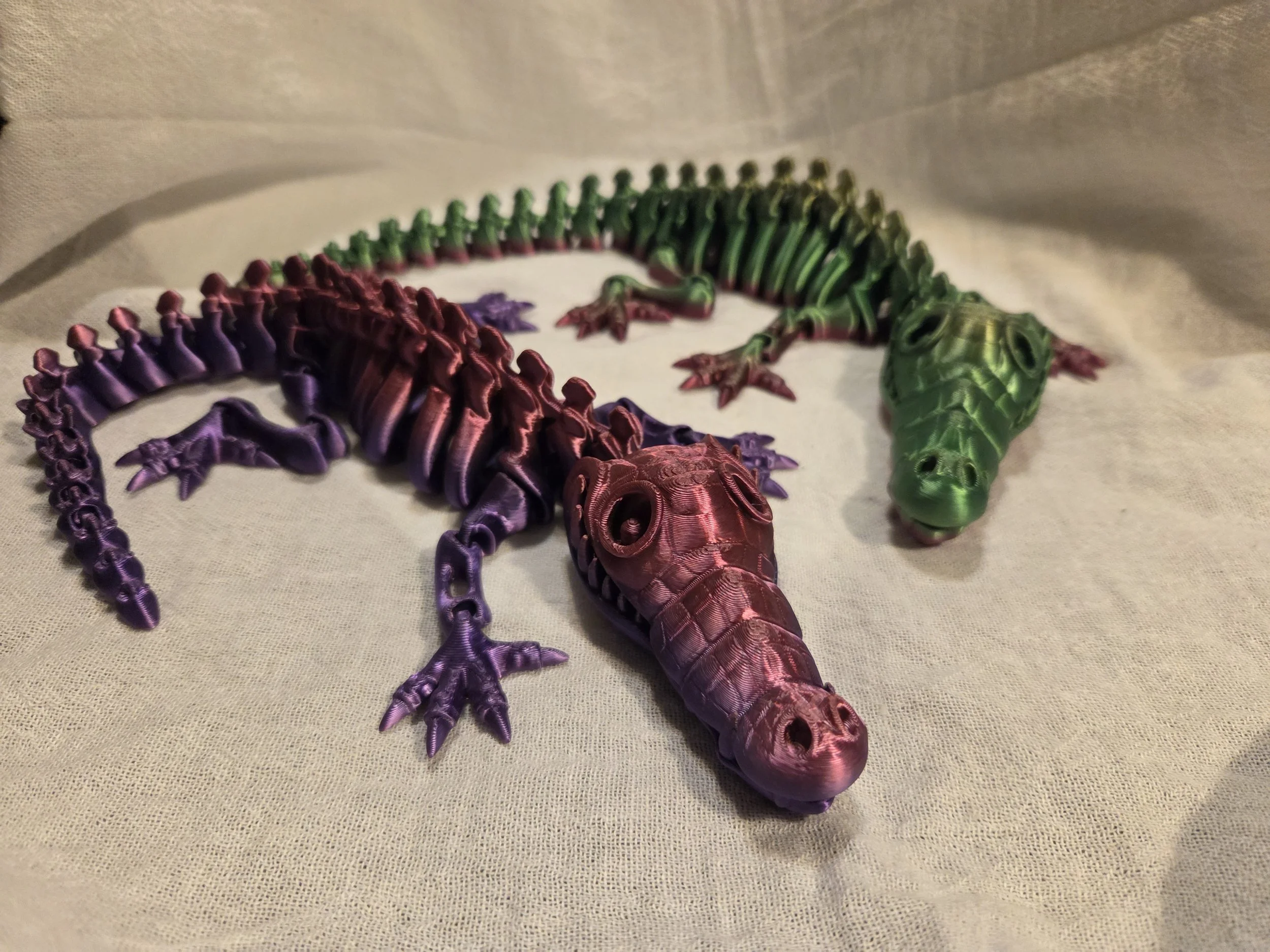 Crocodile Skeleton