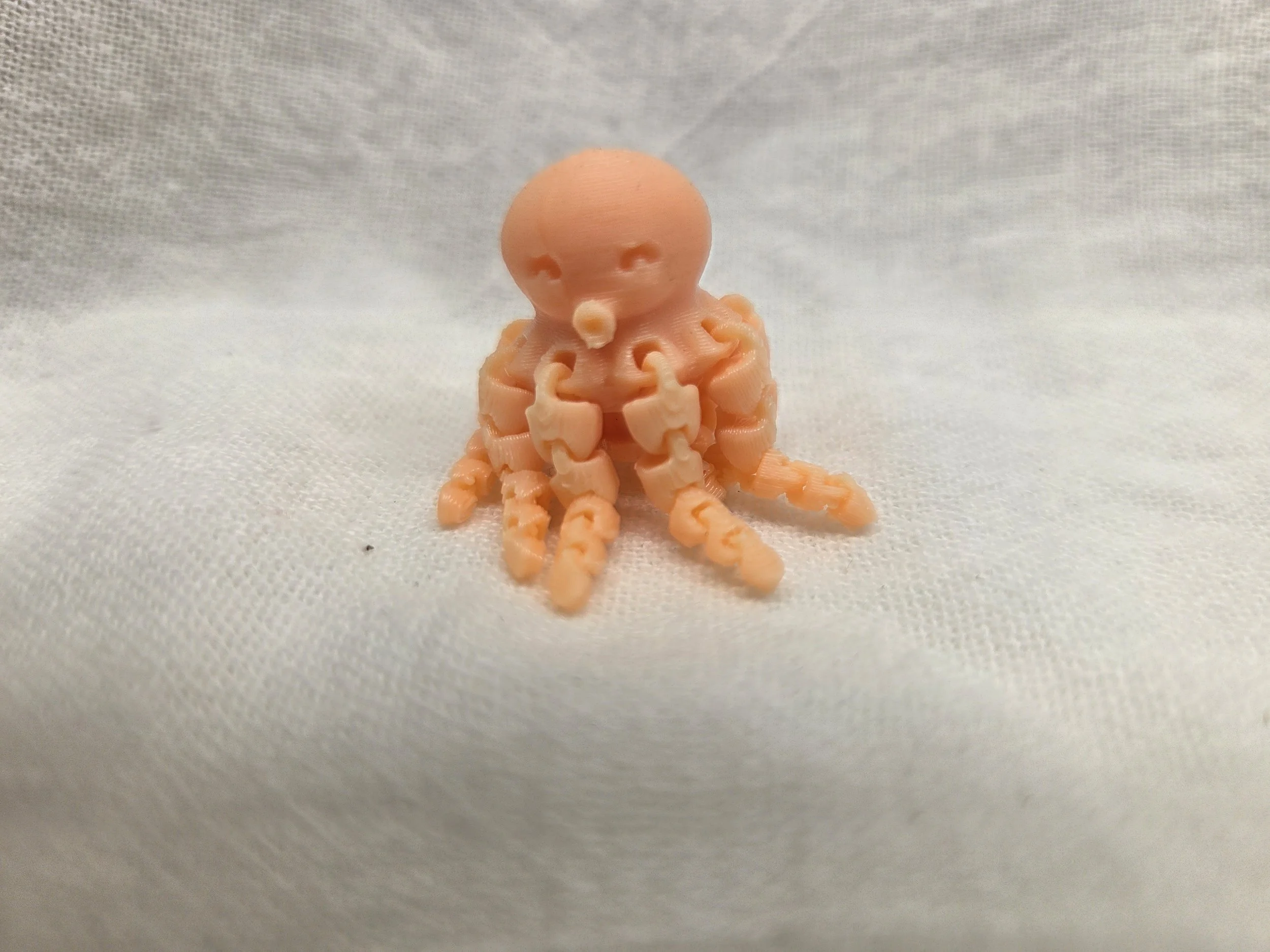 Octopus
