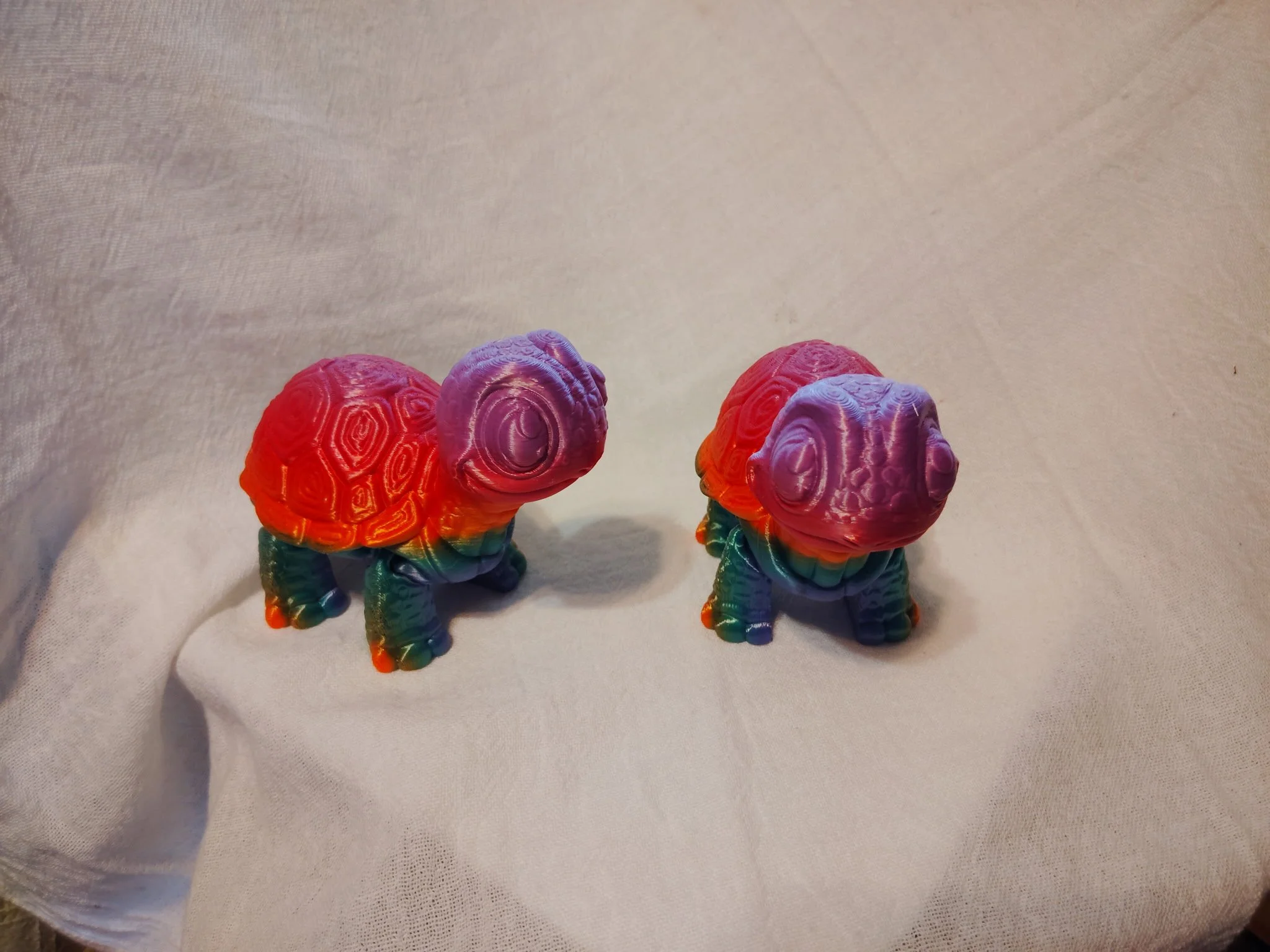 Tortoise