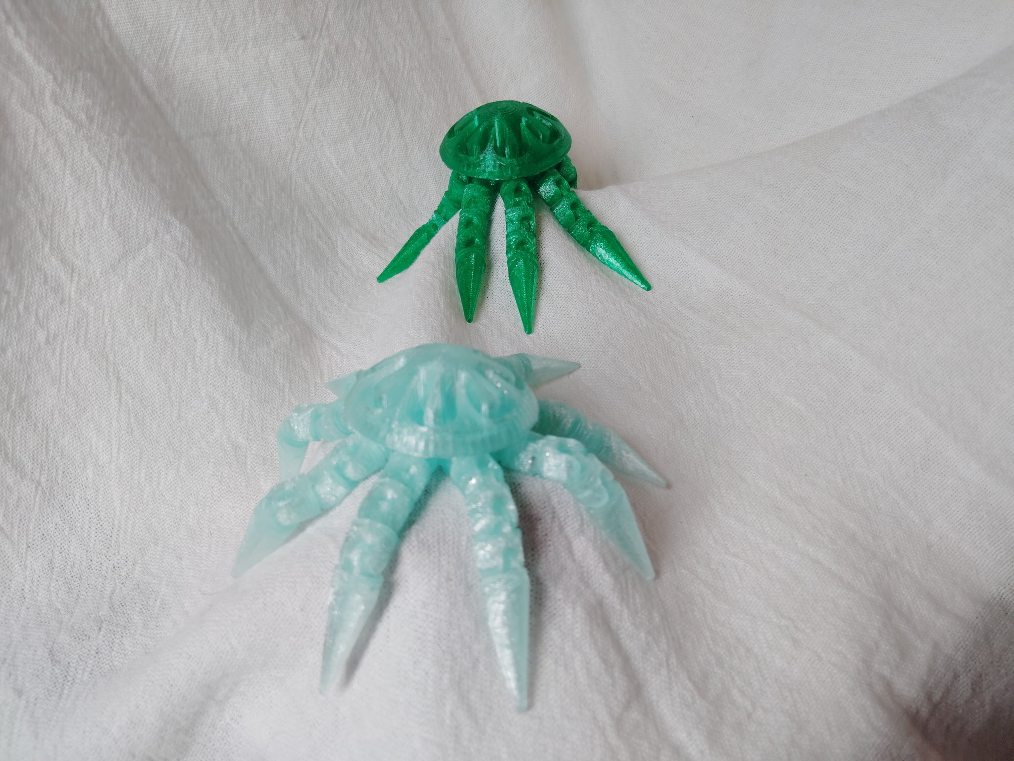Jelly Fish