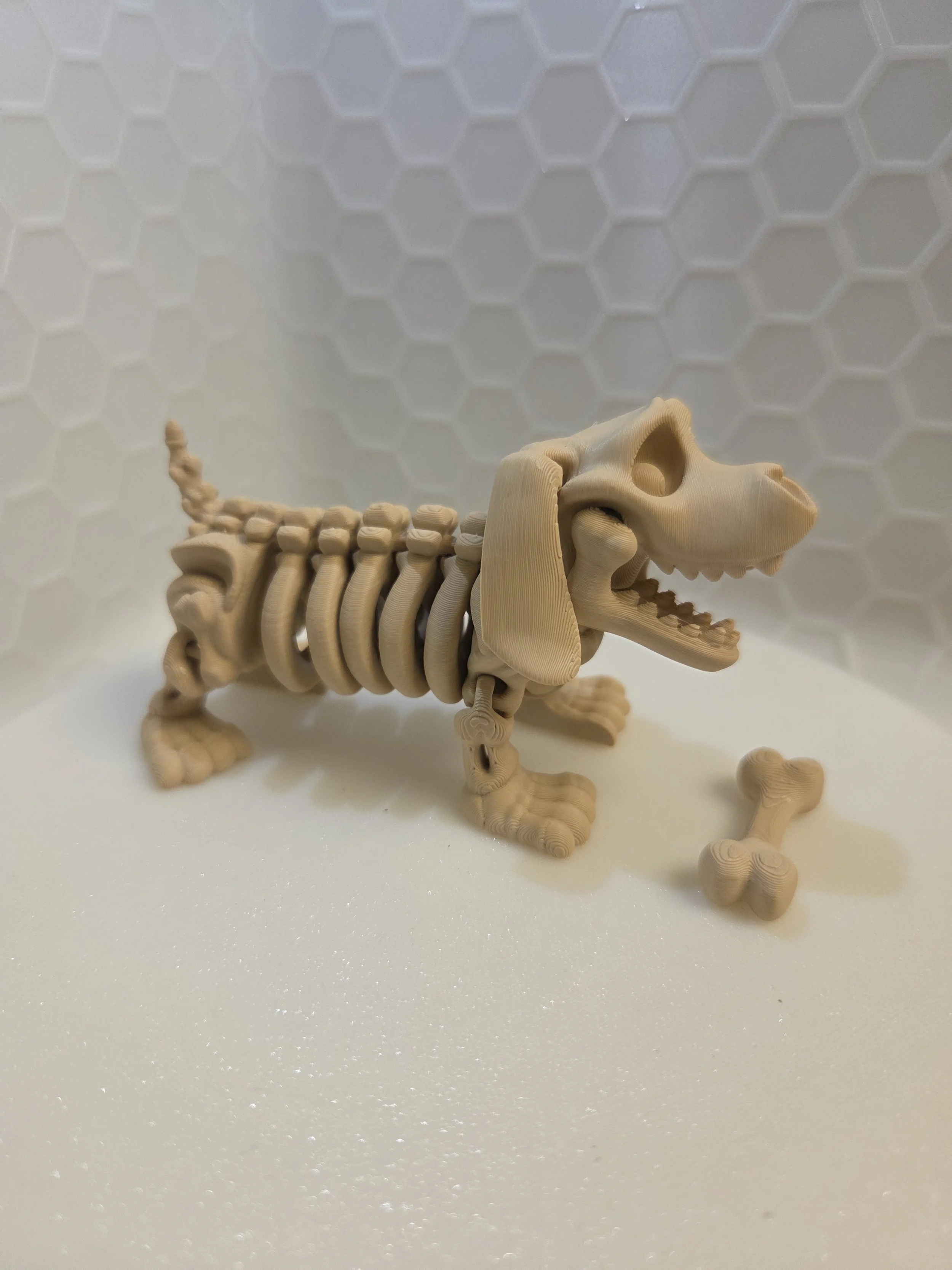 20260312_182517.jpg