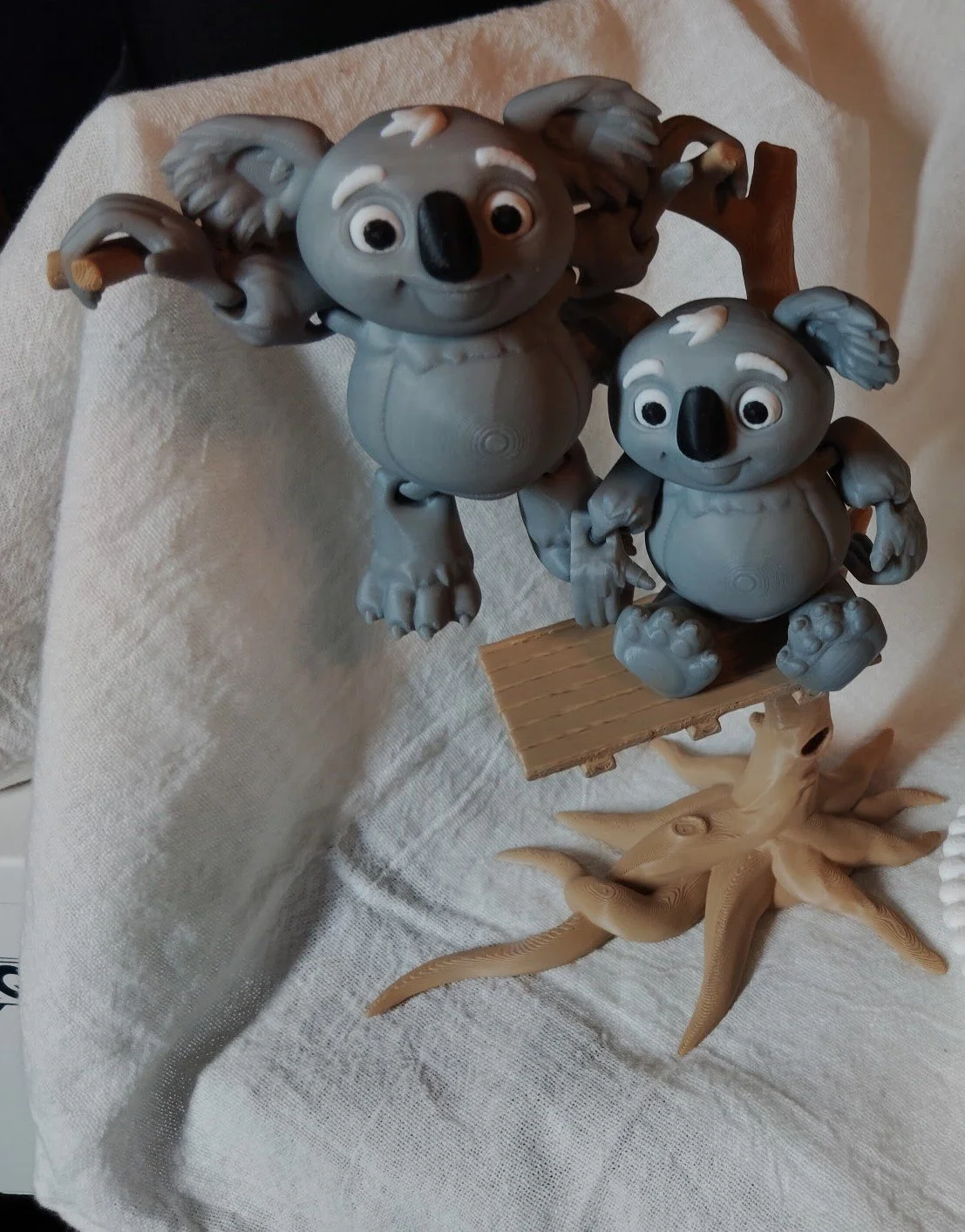 Koalas with Sitting Branch
