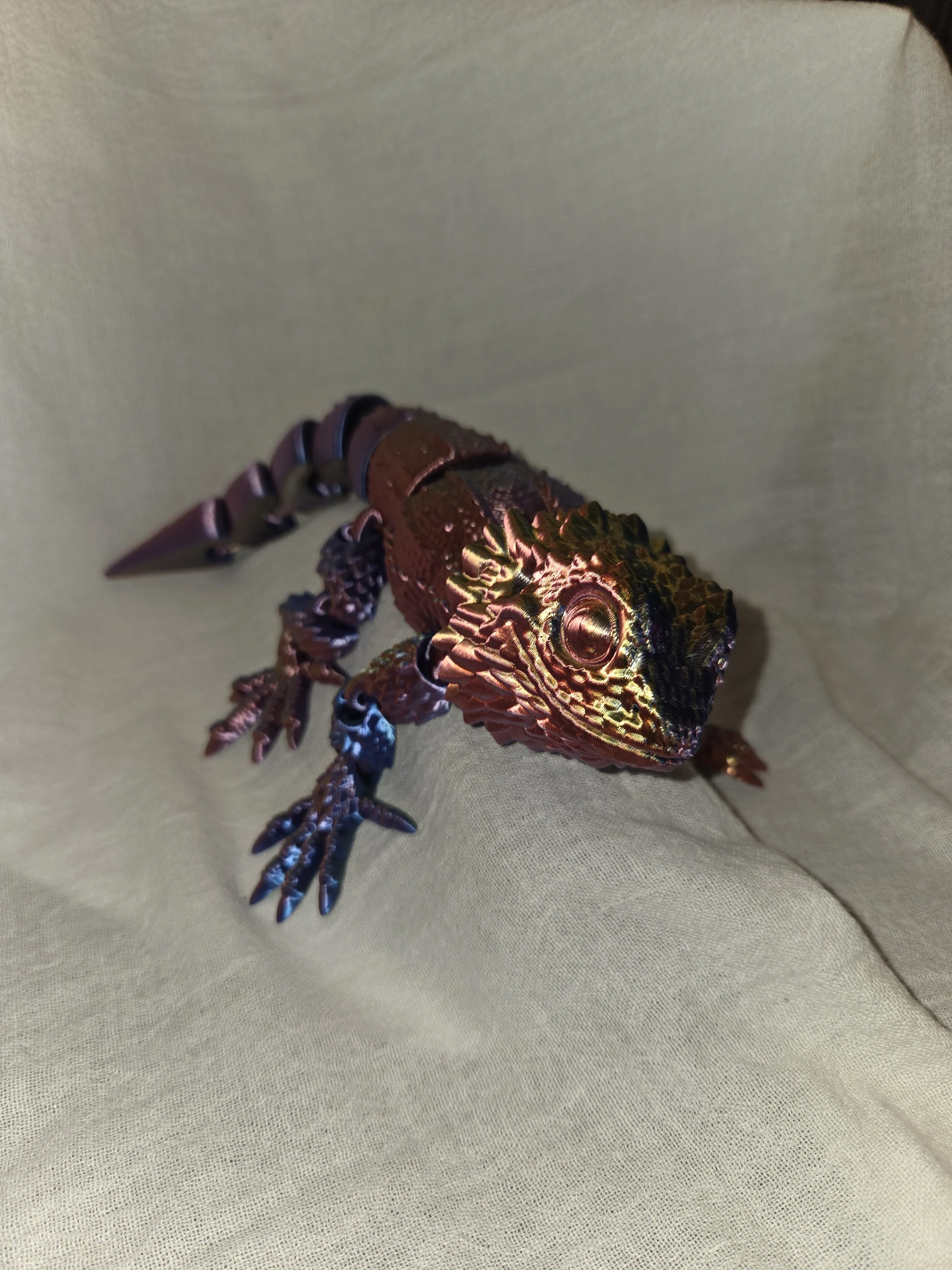 Bearded Dragon