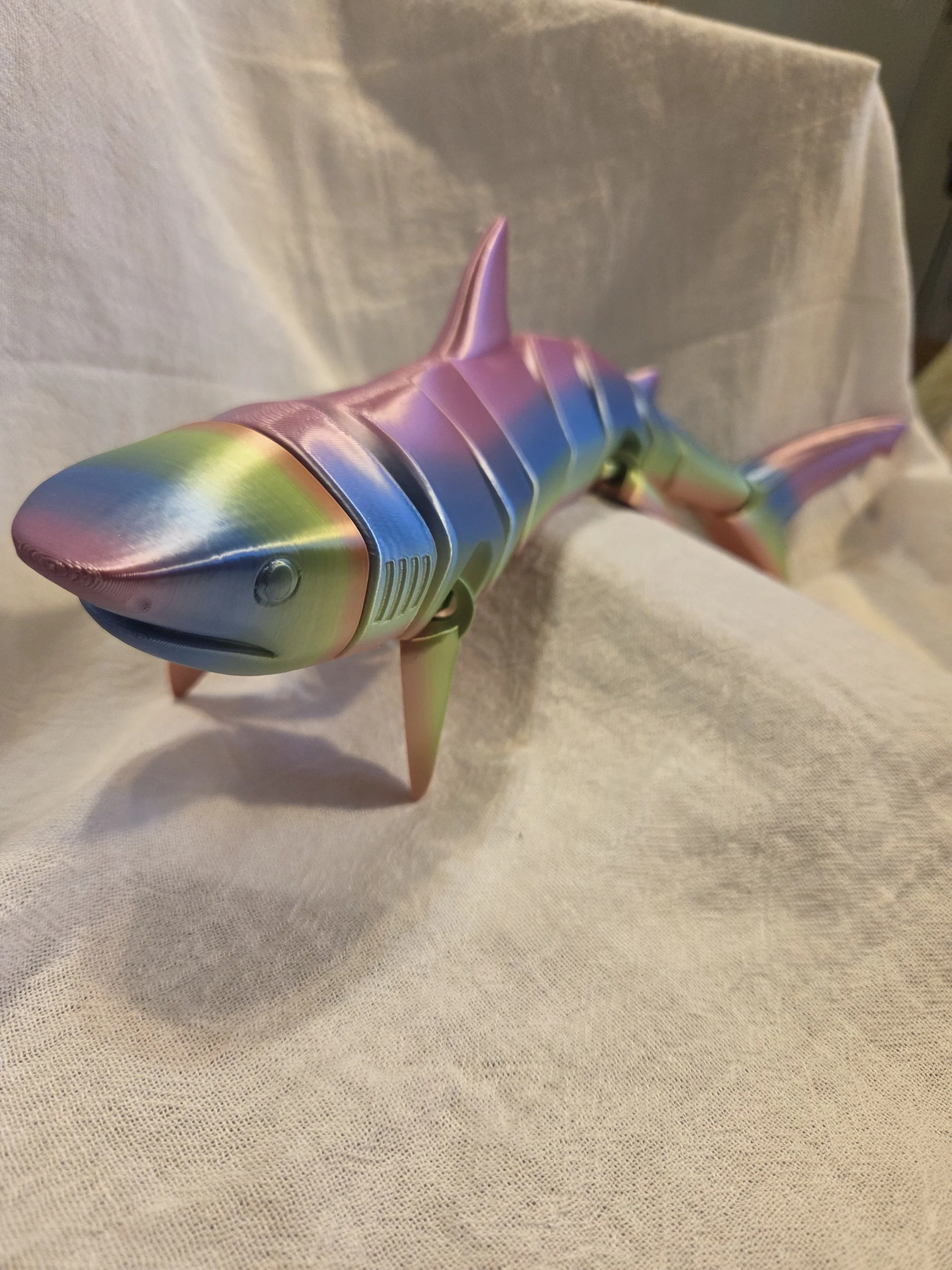 Tiger Shark (Large)