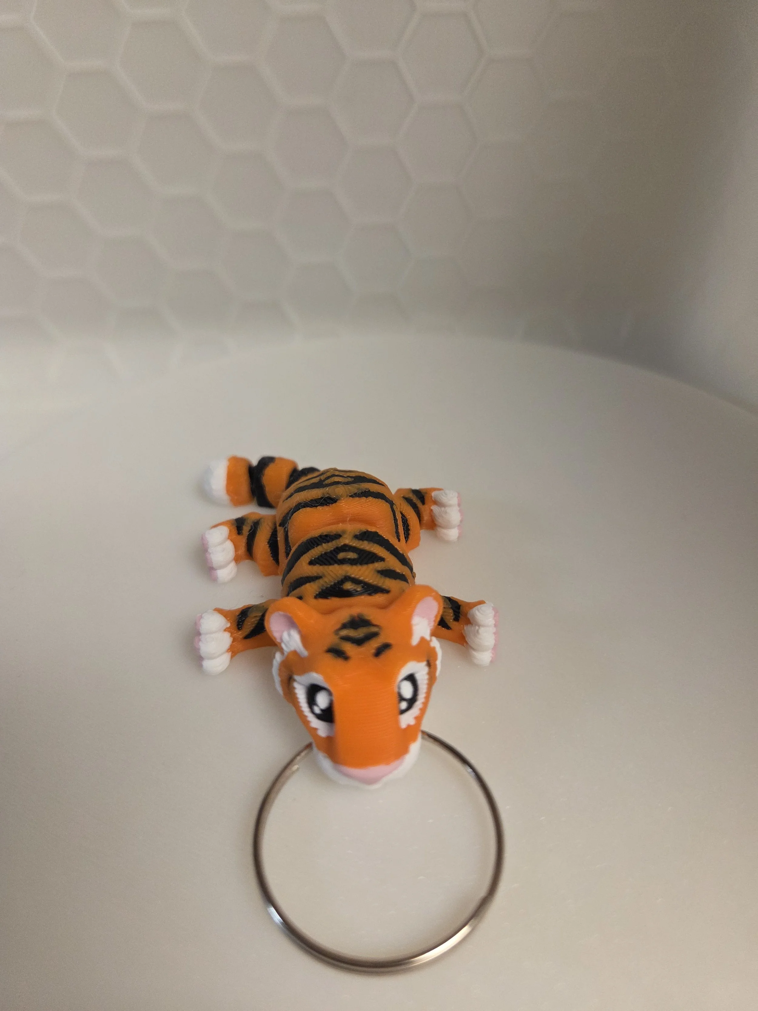 20260312_180243.jpg