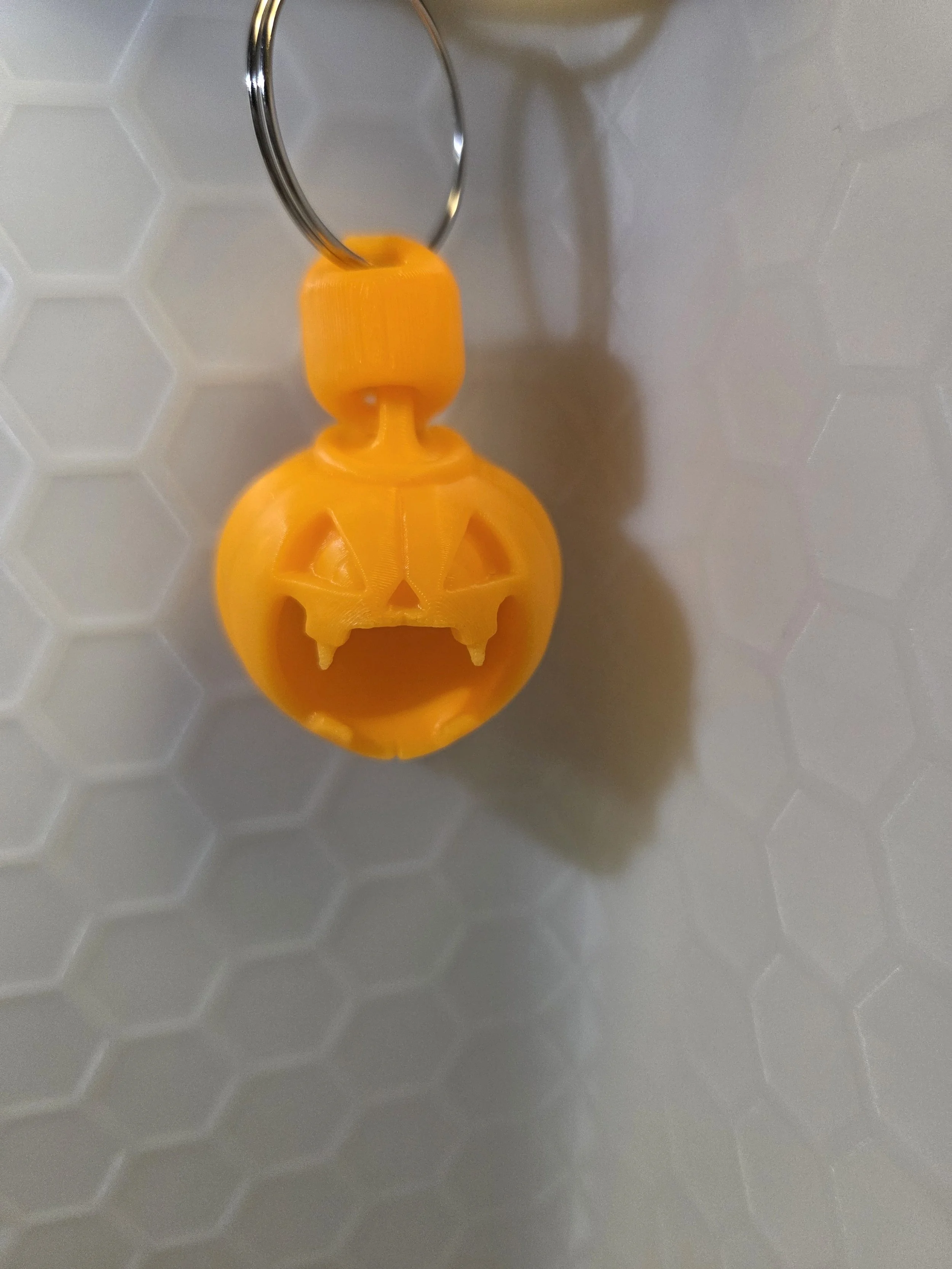 20260312_175632.jpg