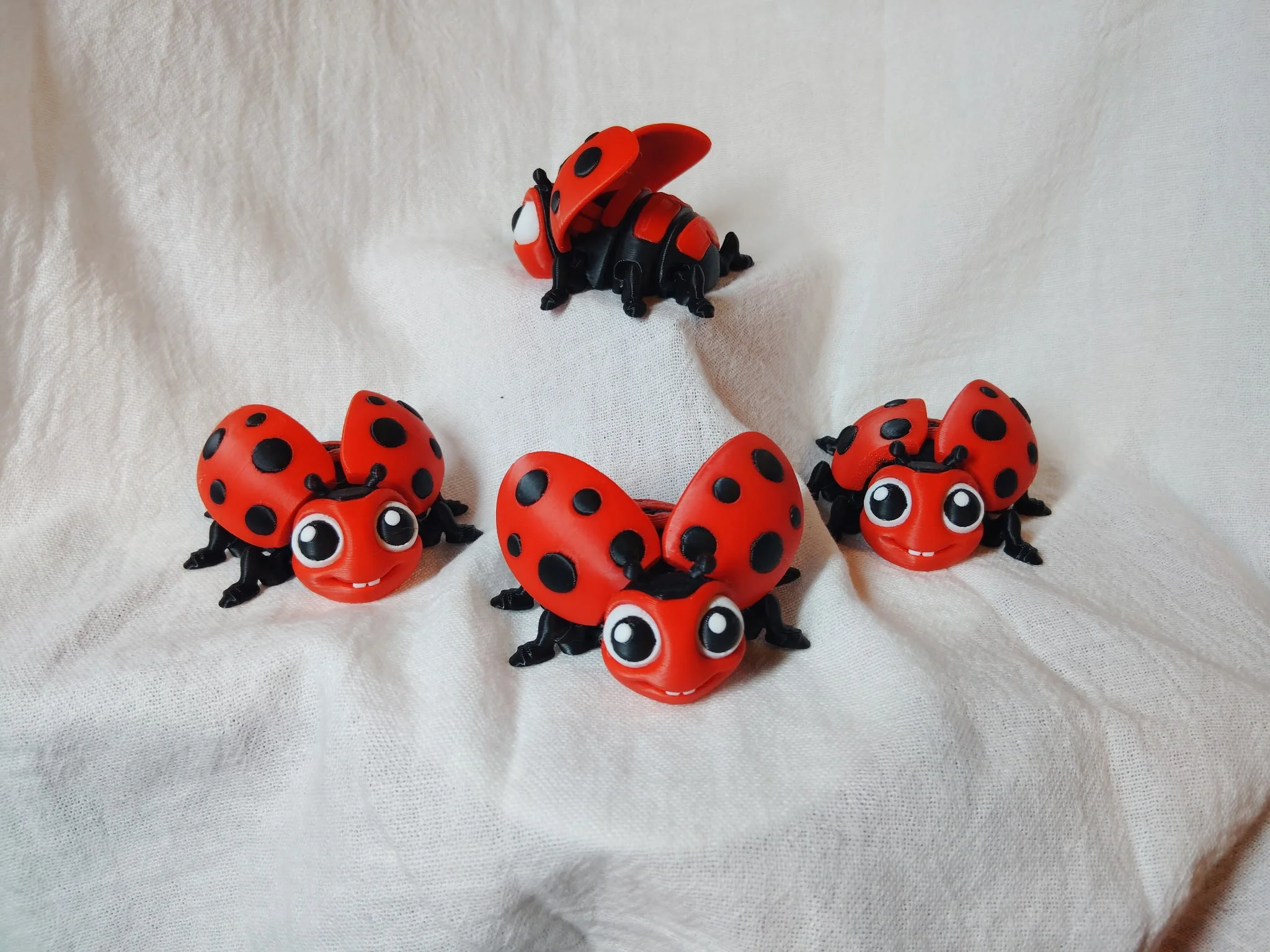 Ladybug