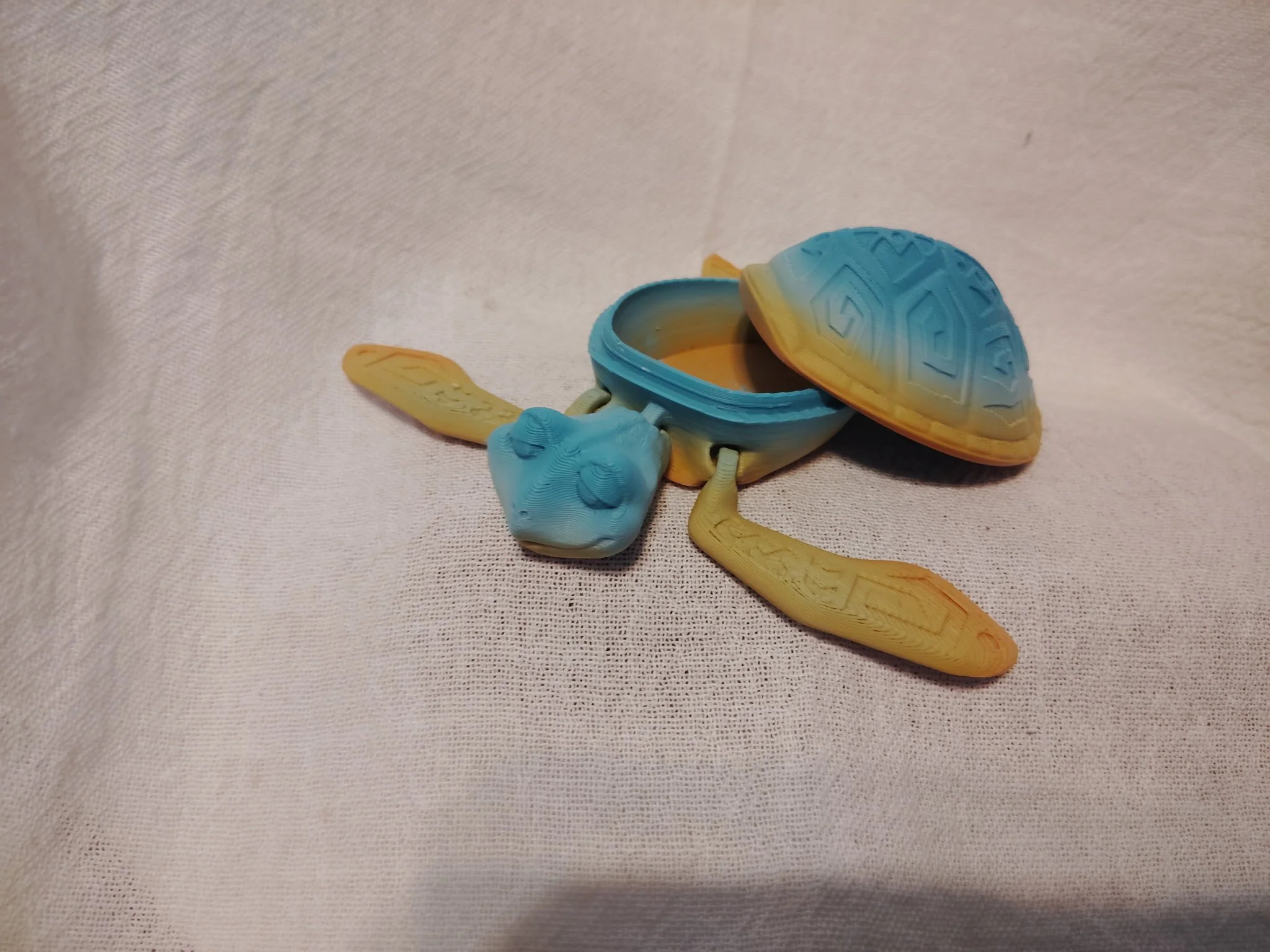 Turtle Removable Shell