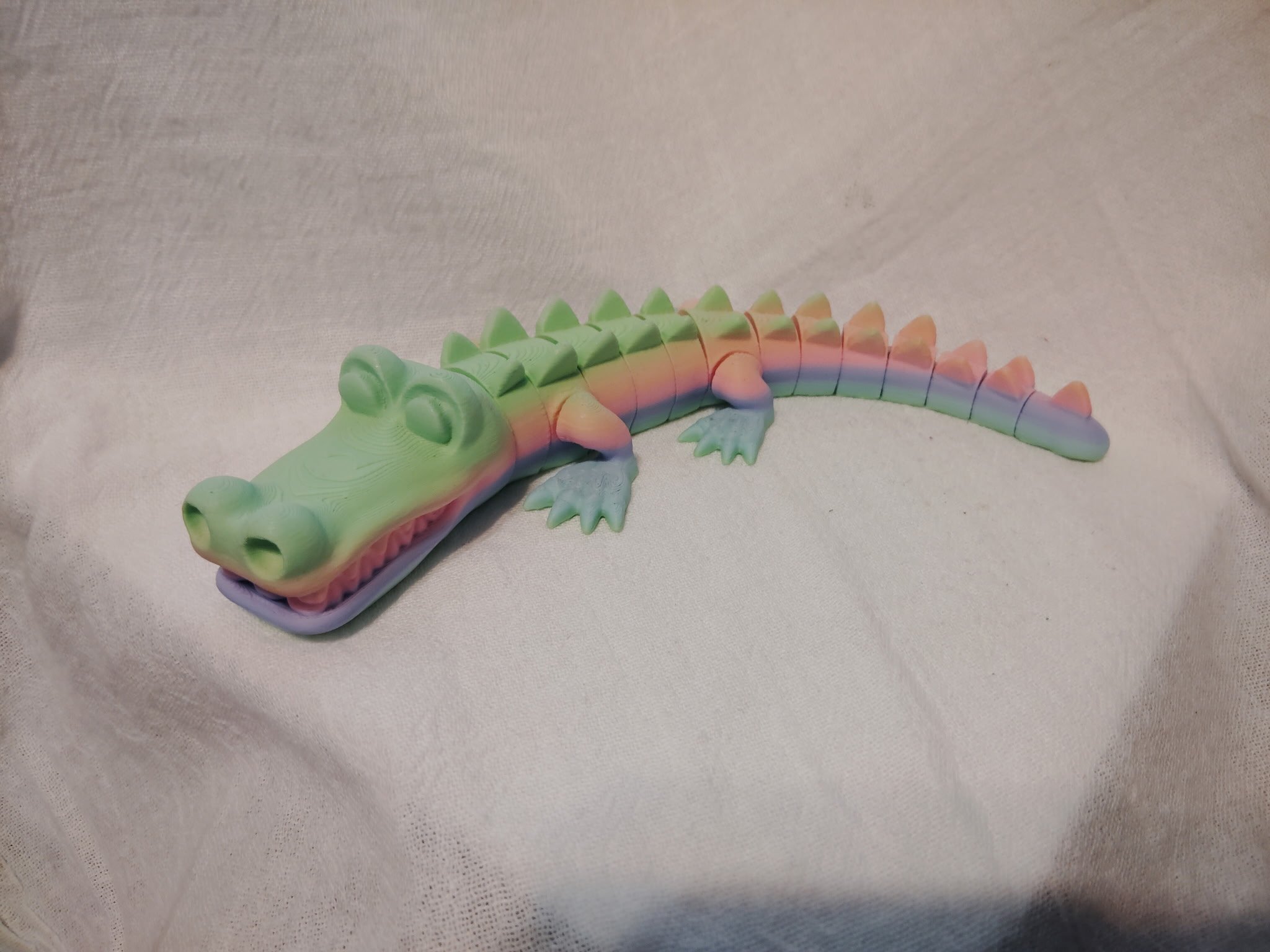 Alligator