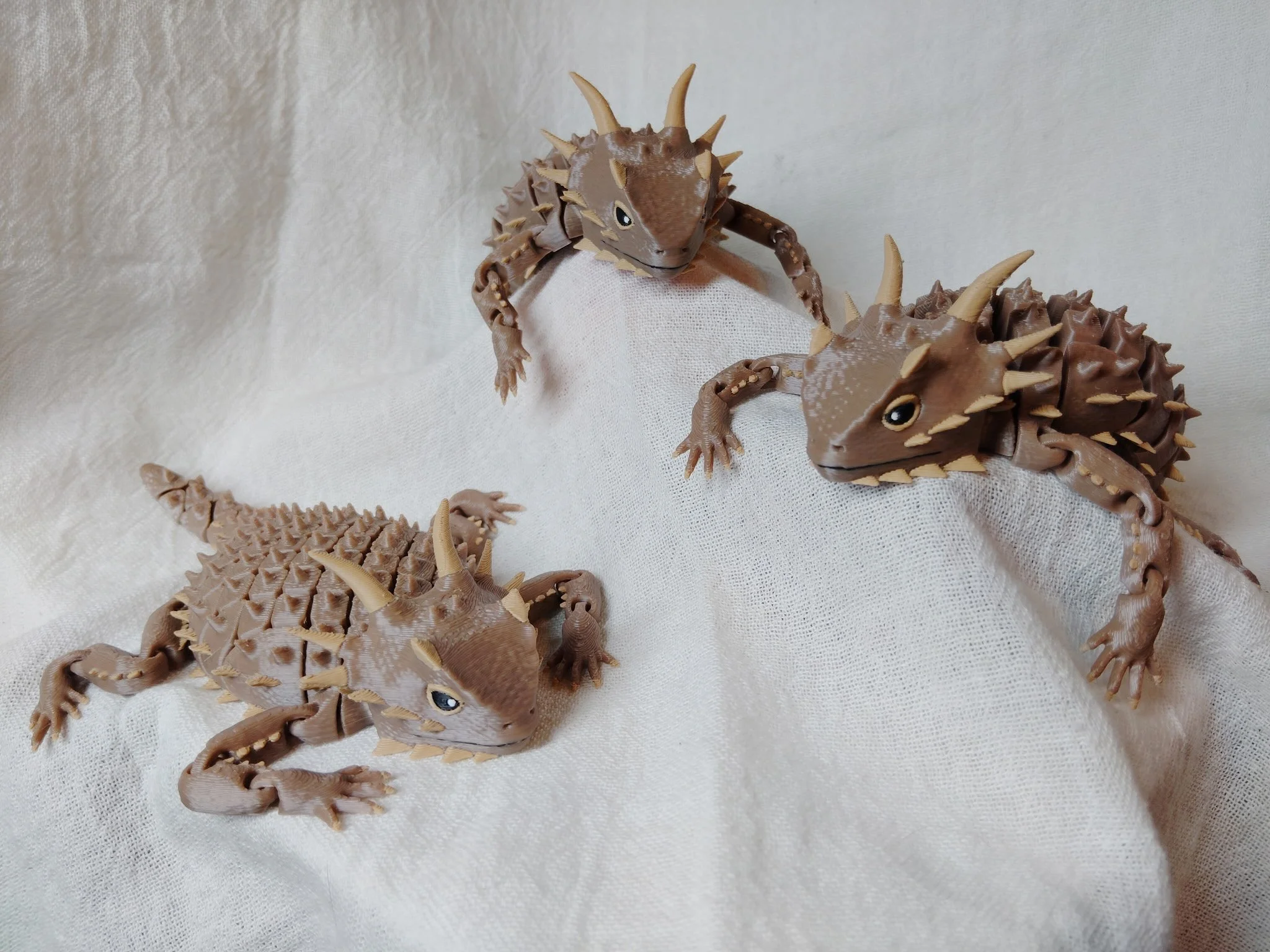 Horned Lizard