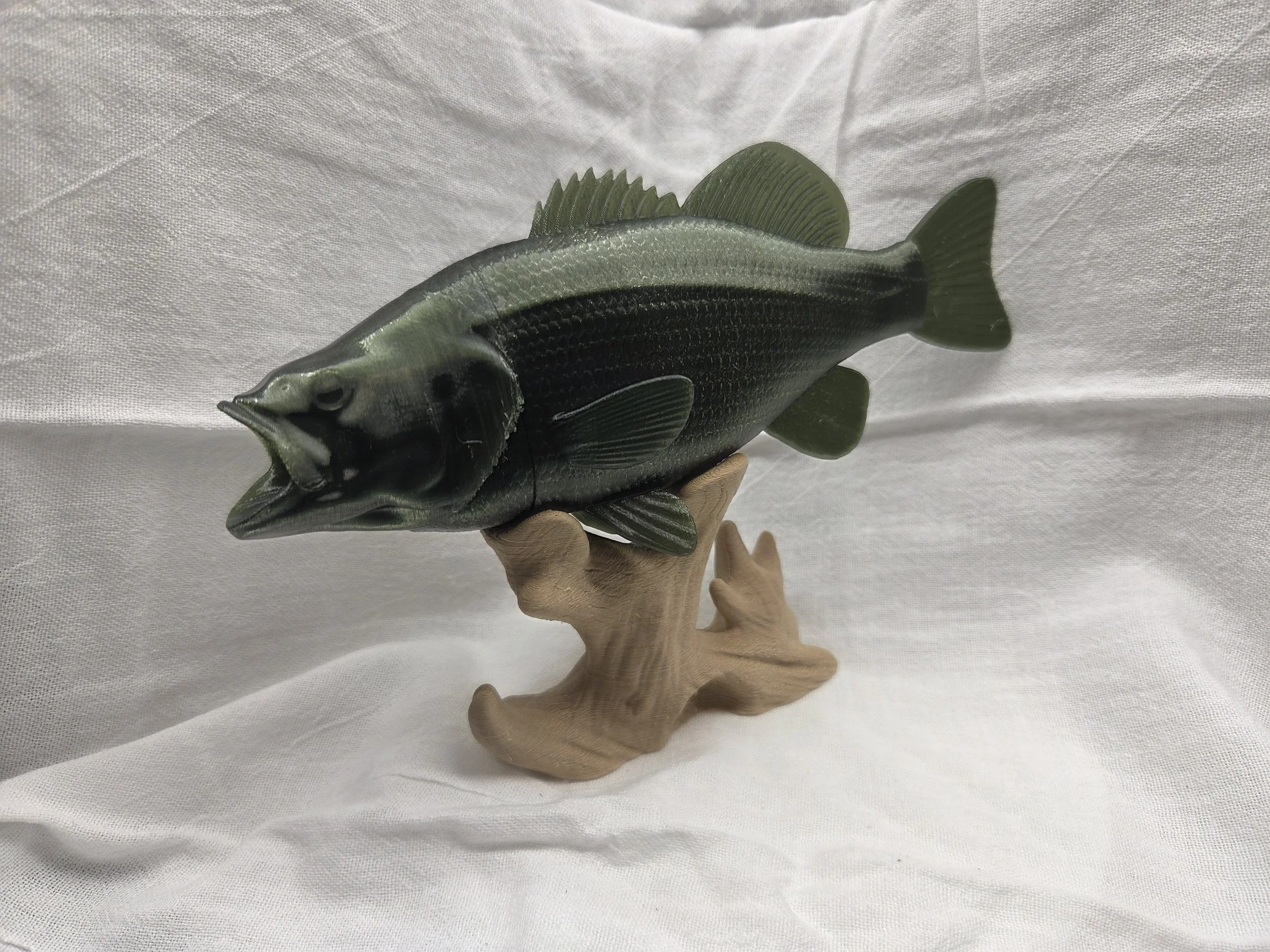Bass on Stand