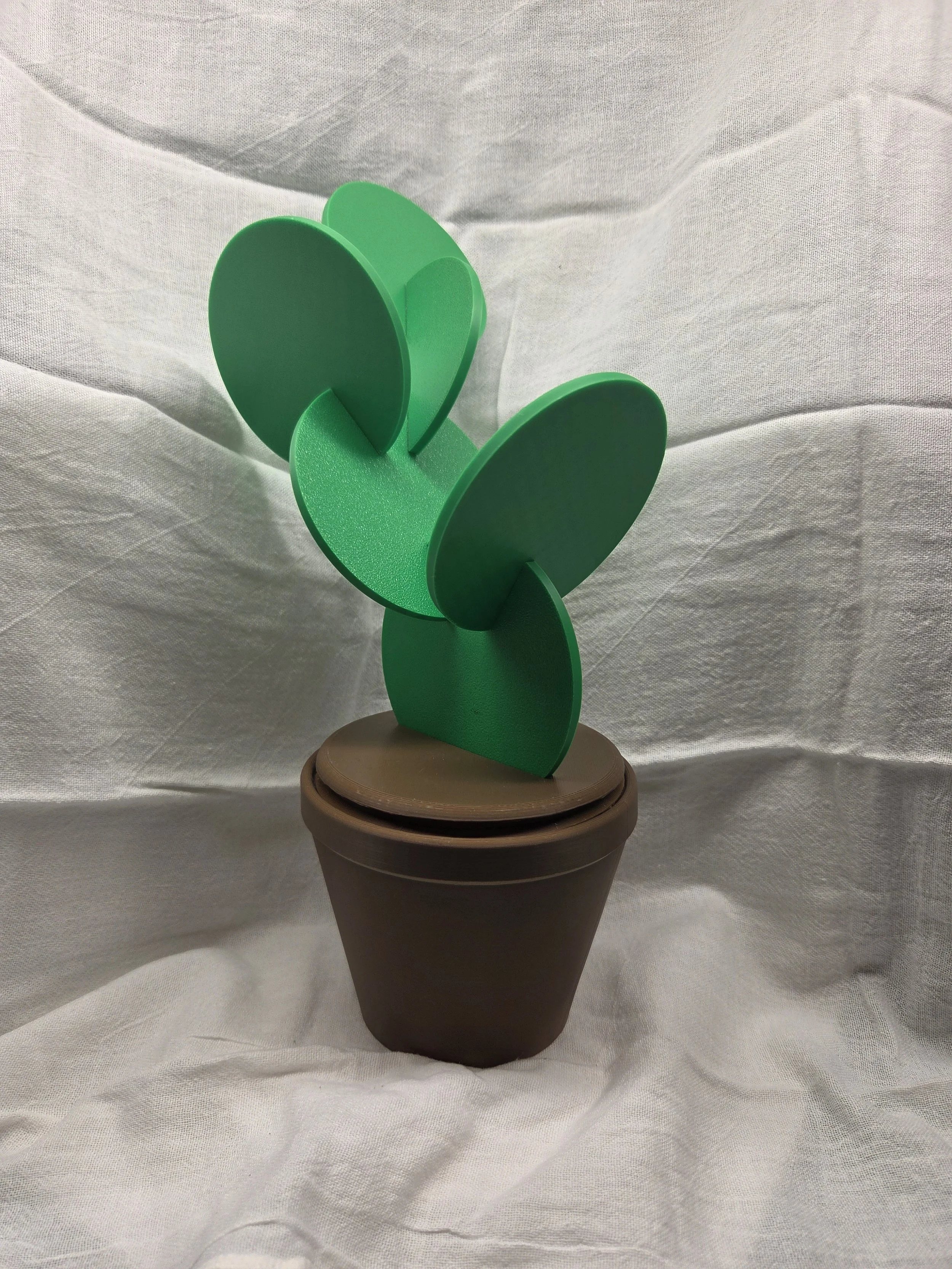 Cactus Coaster Set