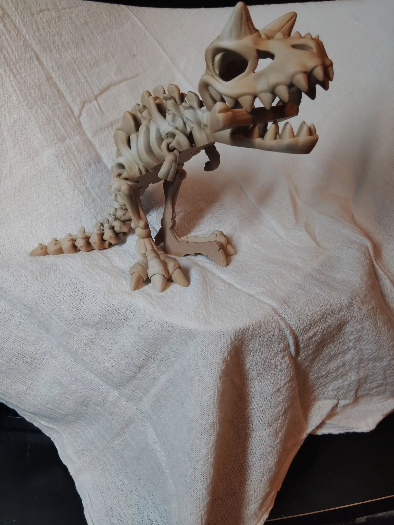 Carnotaur Skeleton