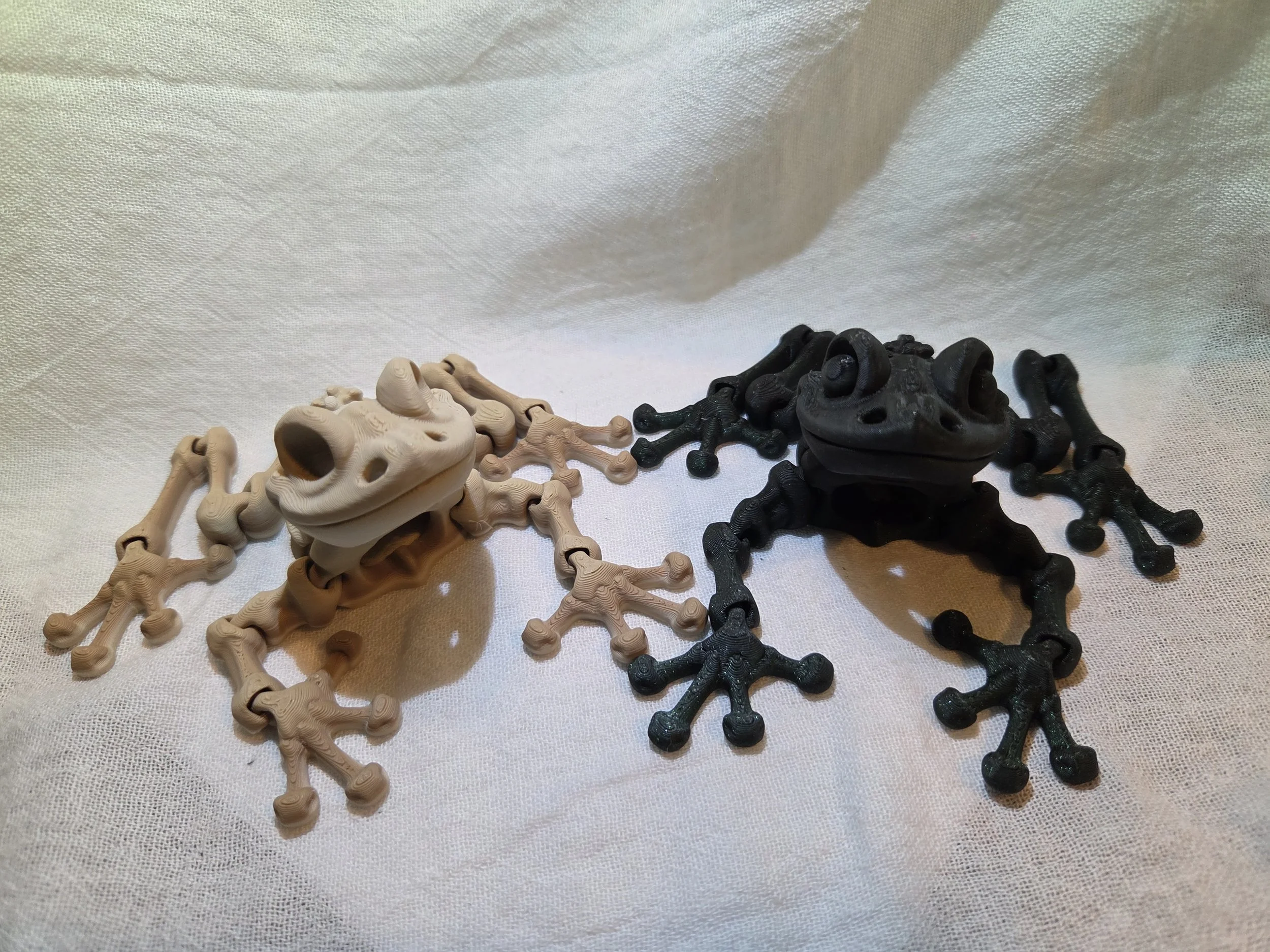 Frog (Skeleton)