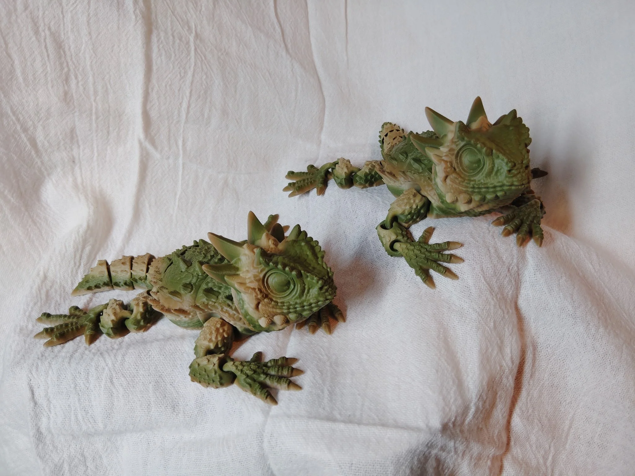 Horned Toads