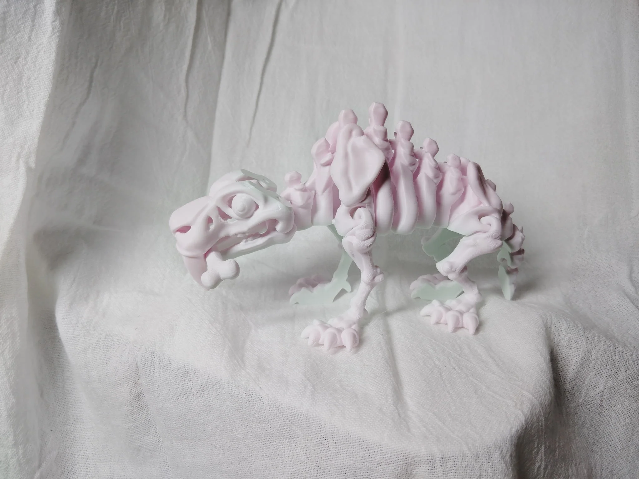 Sabertooth Tiger Skeleton
