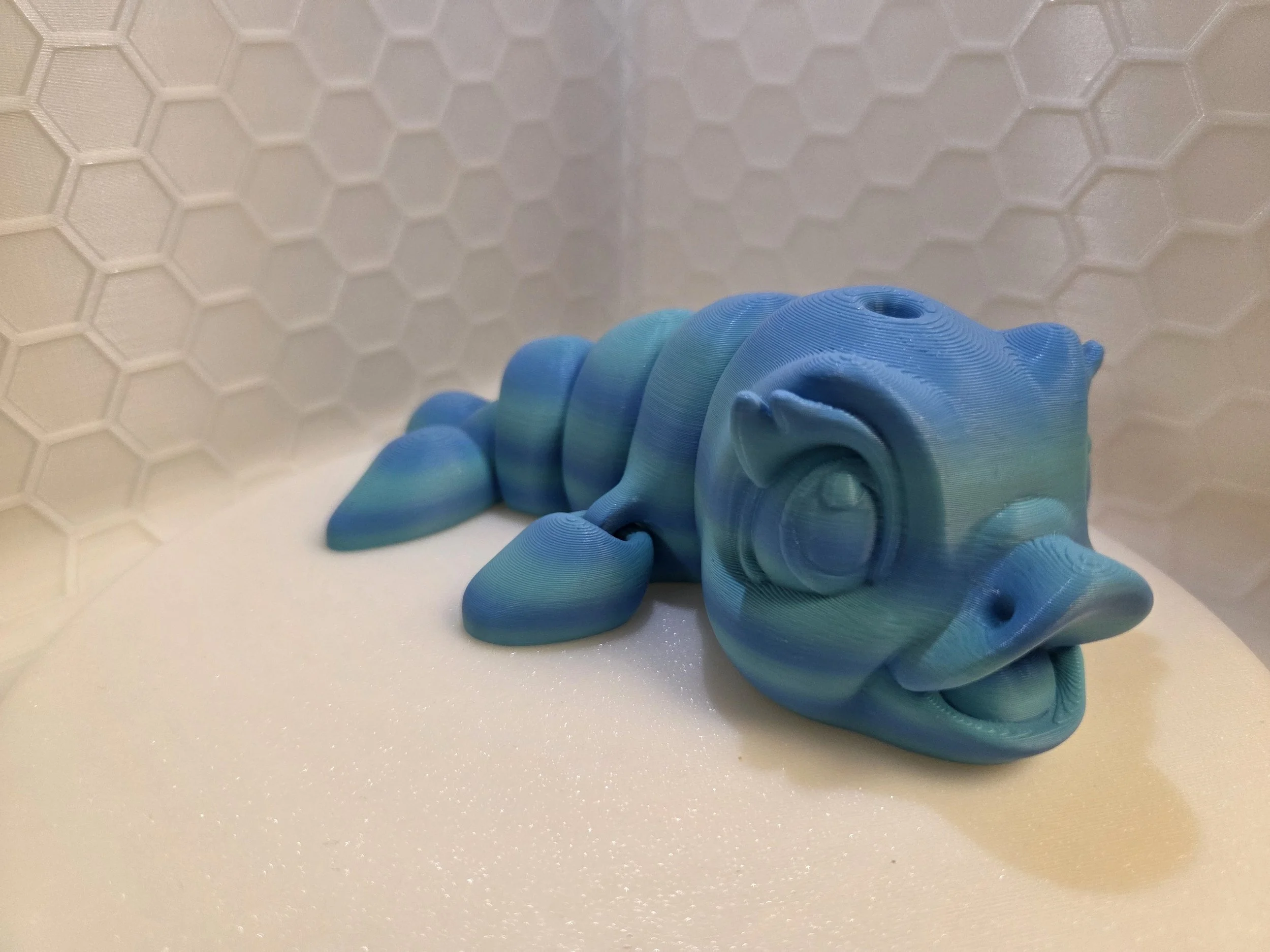 Dolphin (Medium)